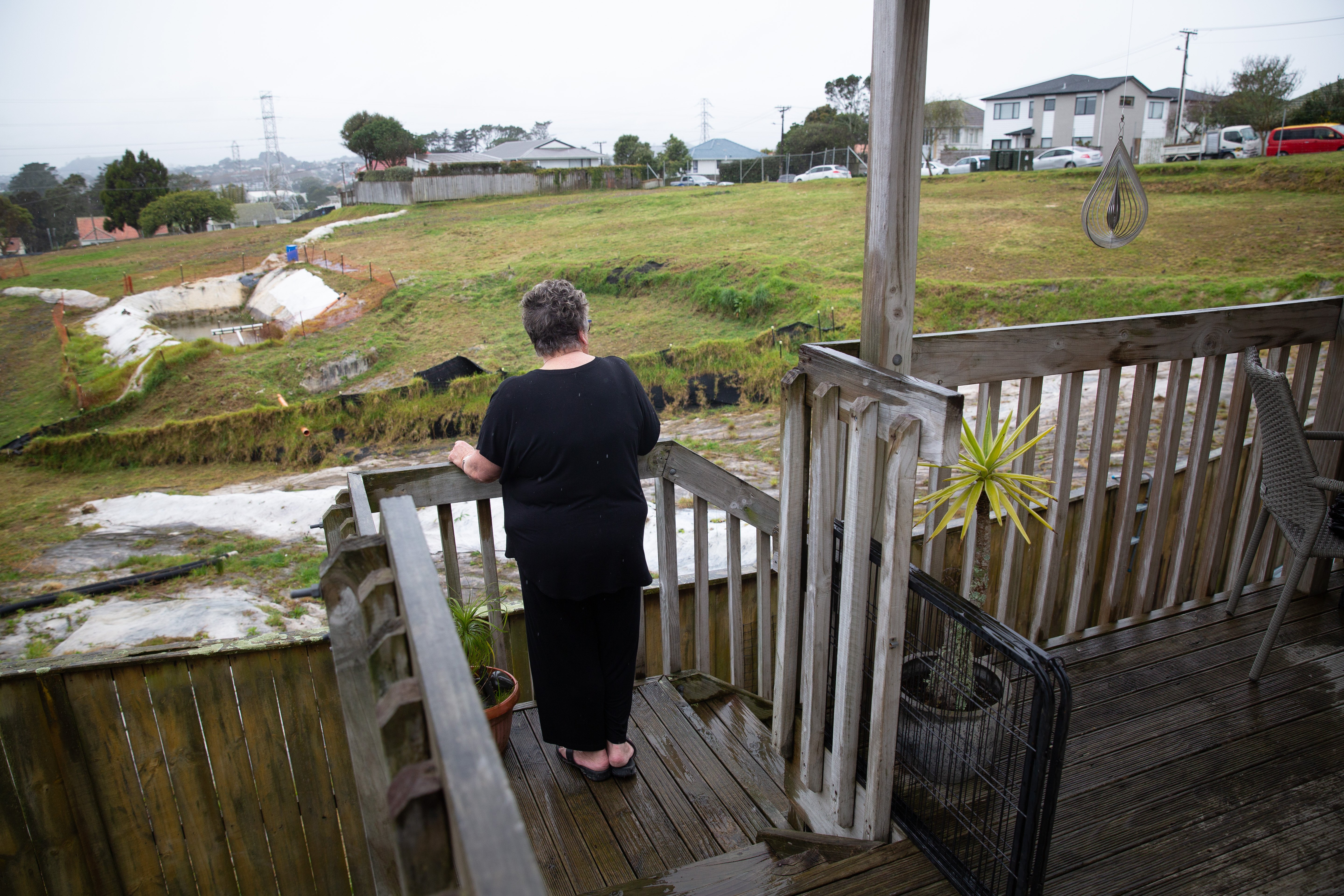 Mt Roskill's Vicki O'Regans worries the bare sections are bringing down the character of the area. Photo / Sylvie Whinray