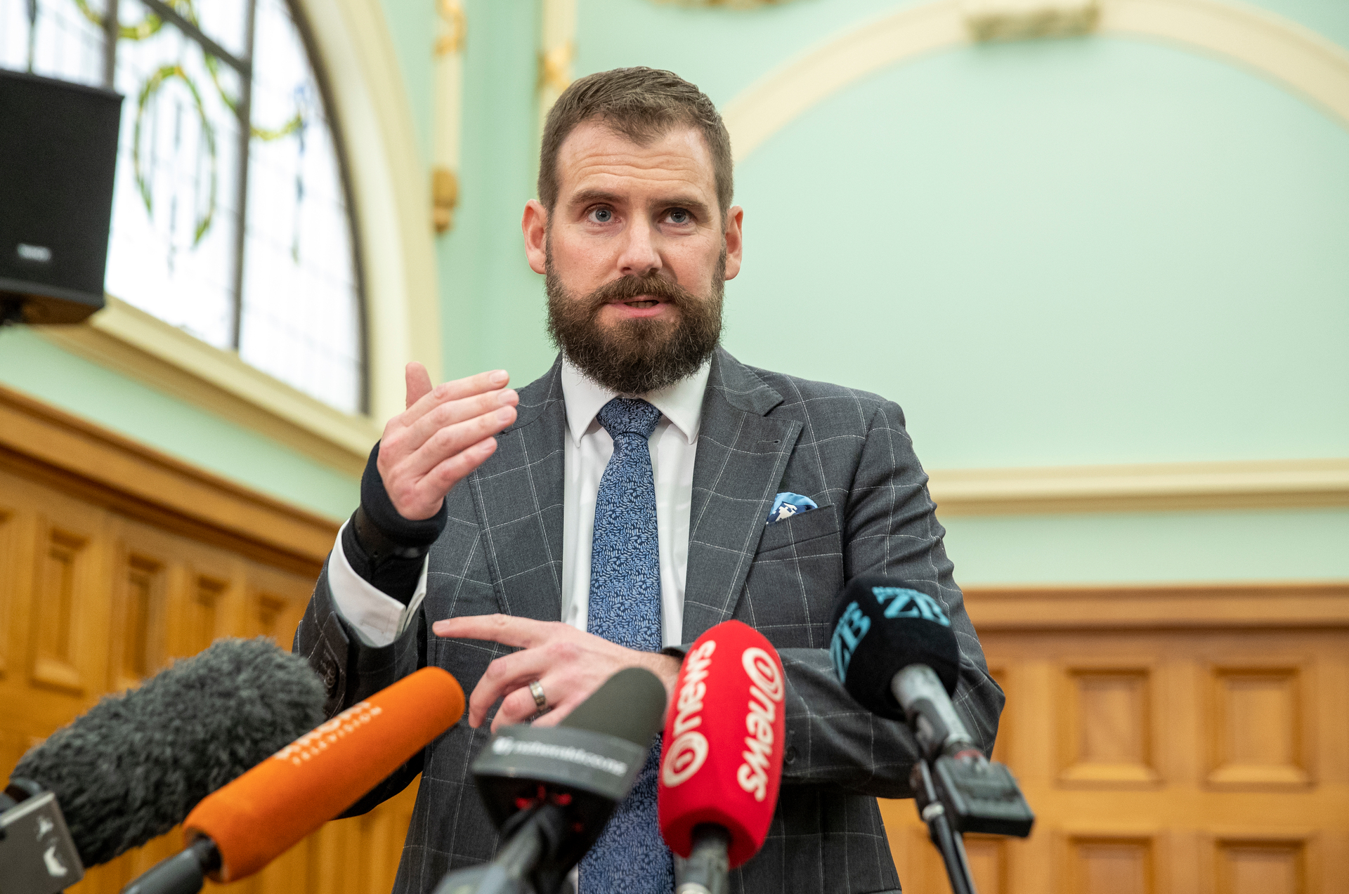 Tim van de Molen has been censured by Parliament. Photo / Mark Mitchell