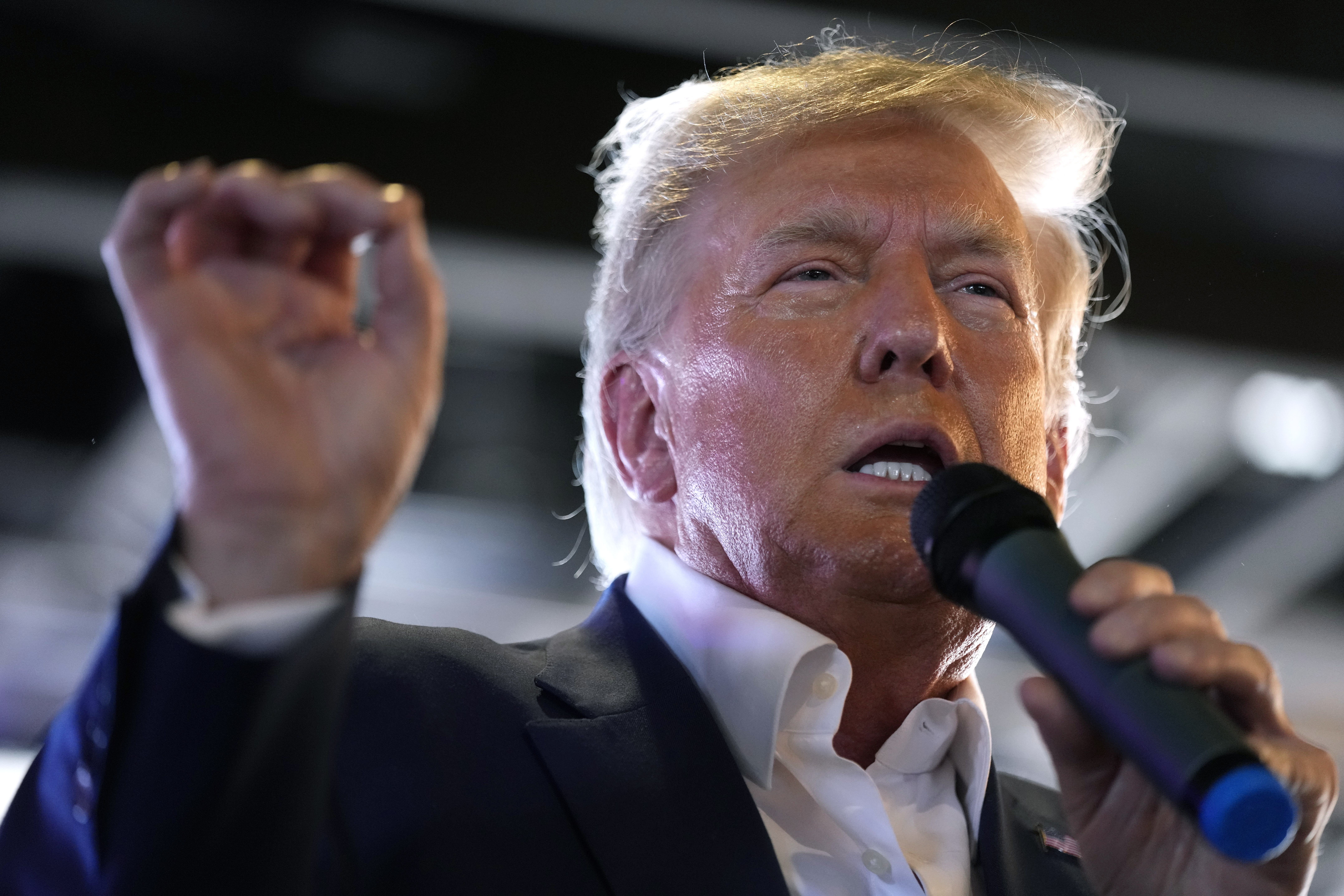 Republican presidential candidate former President Donald Trump speaks to supporters during a visit to the Iowa State Fair. Photo / Charlie Neibergall, AP