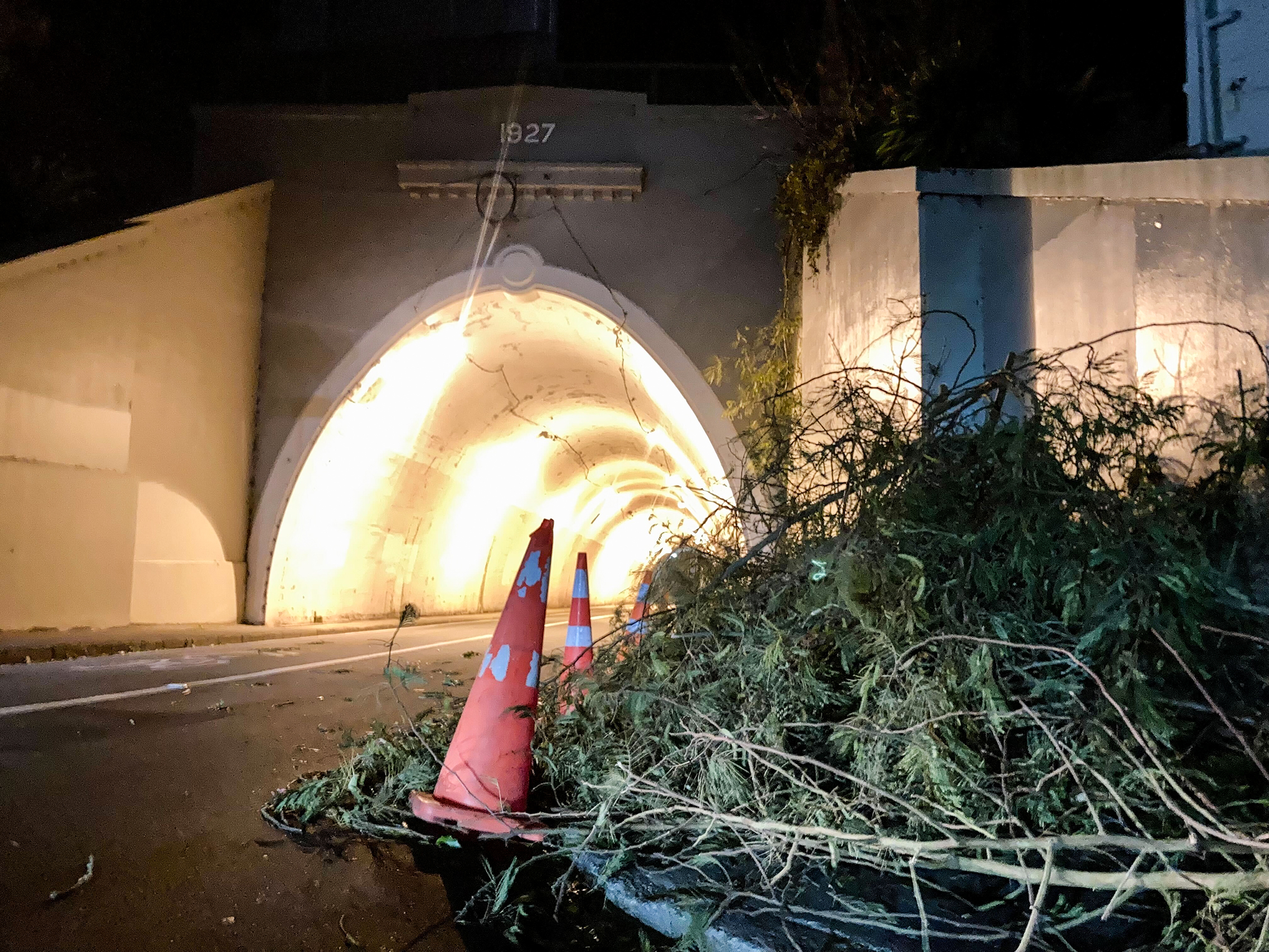Tree debris is marked off by cones at the Northland Tunnel in Wellington. Photo / Katrina Bennett