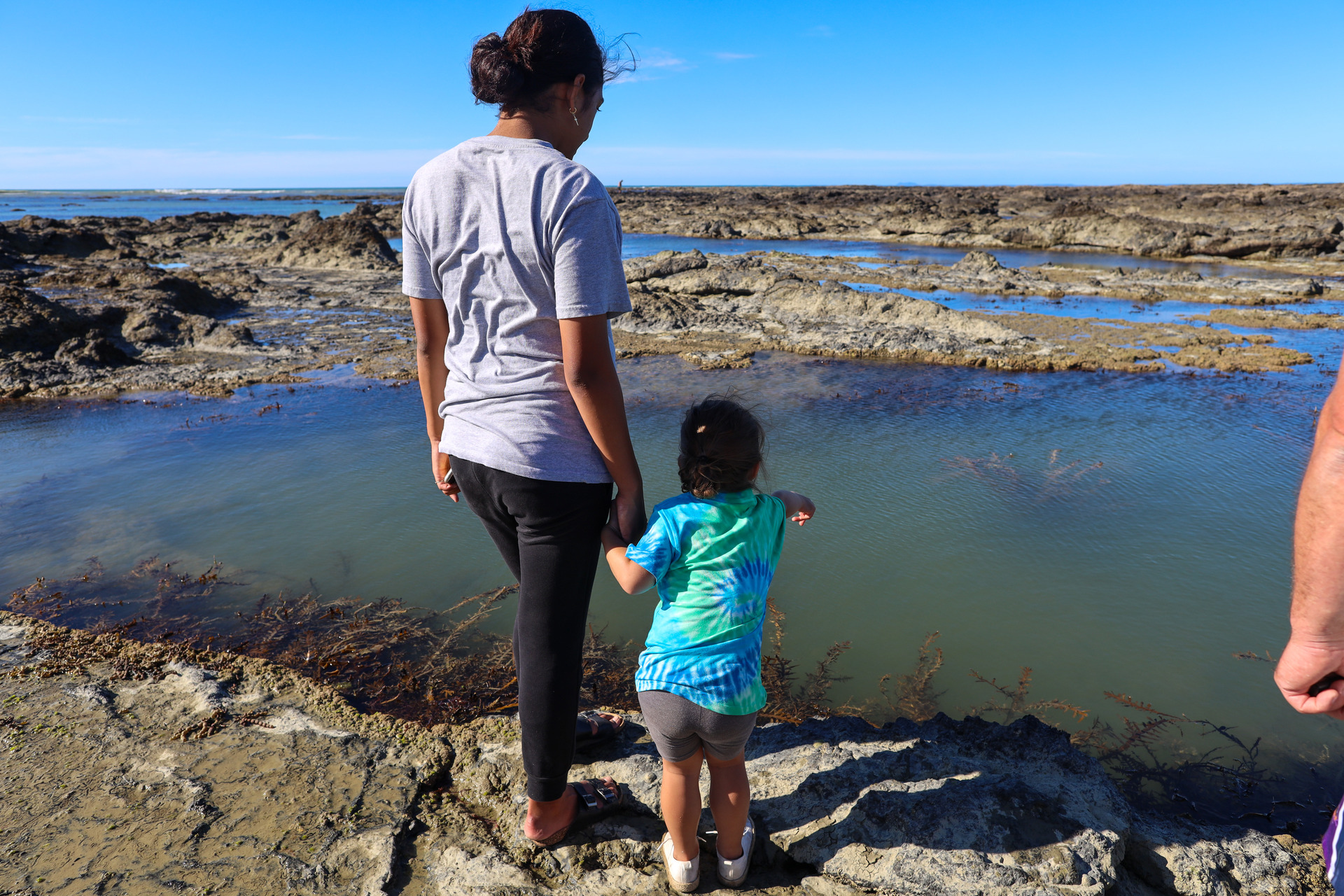 From left: Rylee Hemi, 14, and Nevaeh Hemi, 4, watch the sharks from afar with the youngest keen to get in and have a play. Photo / Christel Snowden