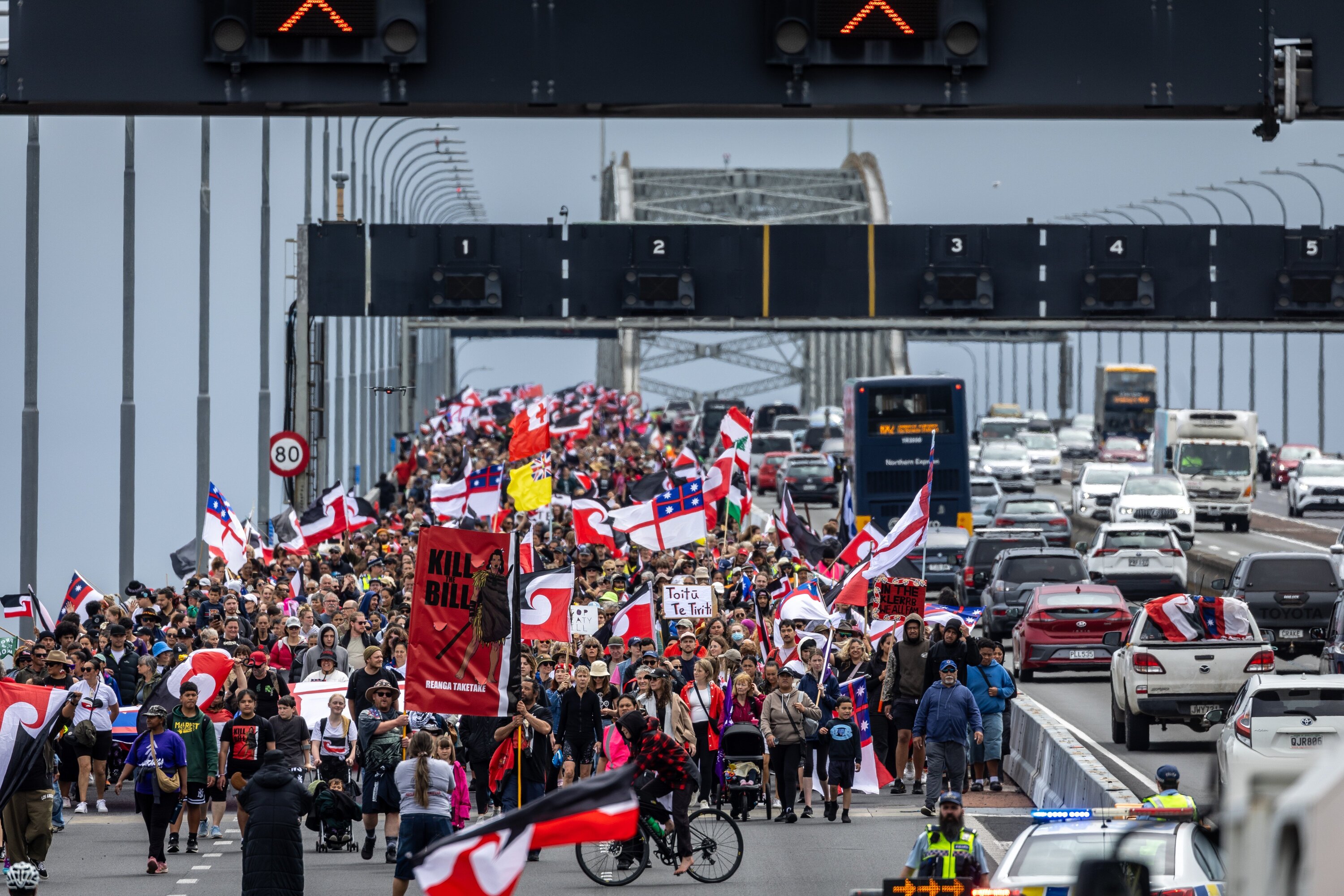 The hīkoi mo te tiriti crosses the Auckland Harbour Bridge in November last year. 
Photo / Michael Craig