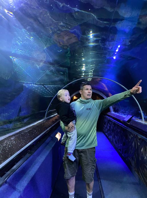 Sea Life Kelly Tarton's is an aquatic wonderland for children. Photo / Supplied