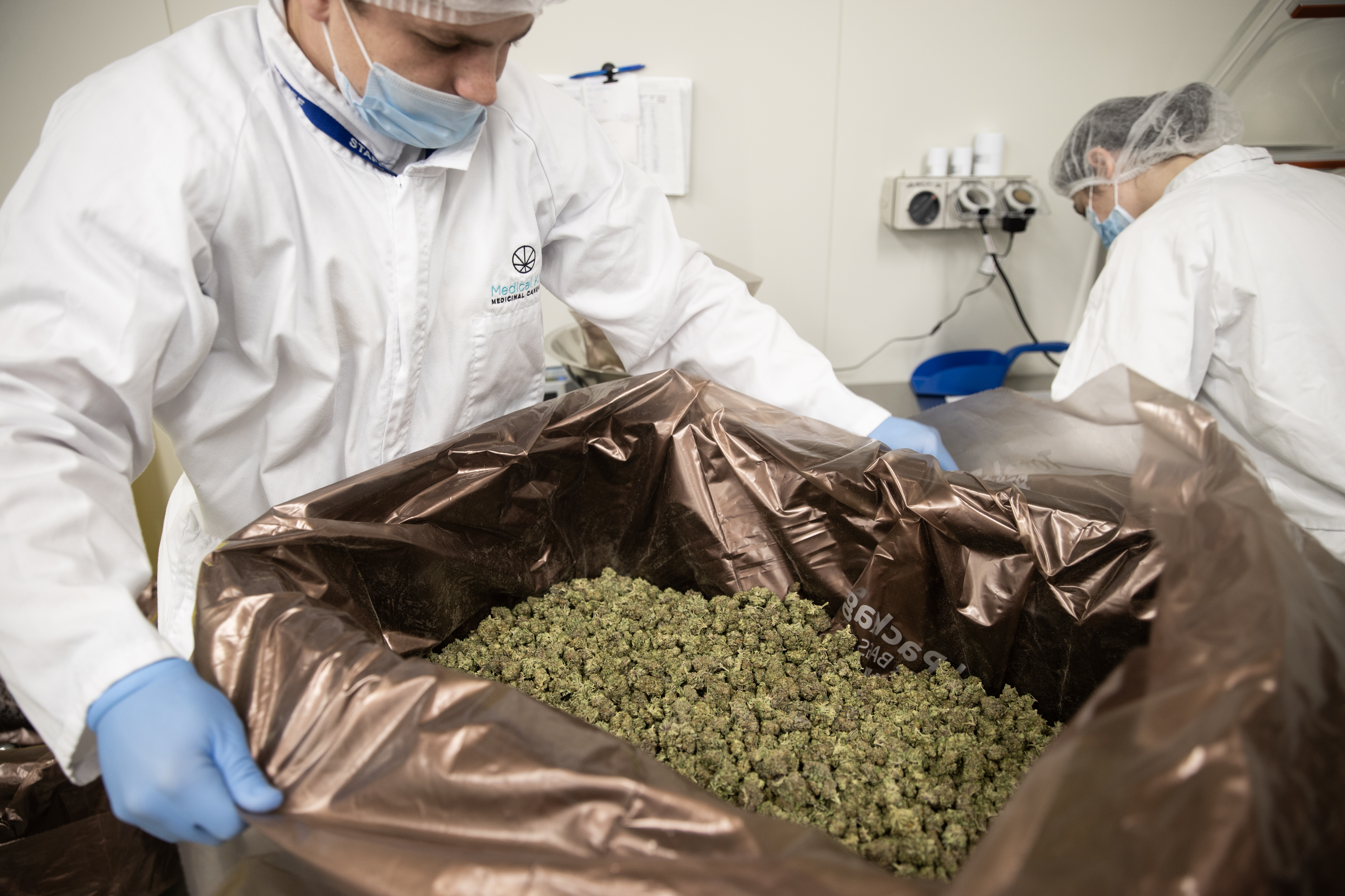 APP plans to invest a minimum of $65 million within three to five years to build a medicinal cannabis extraction and manufacturing facility in the island nation. Photo / George Heard