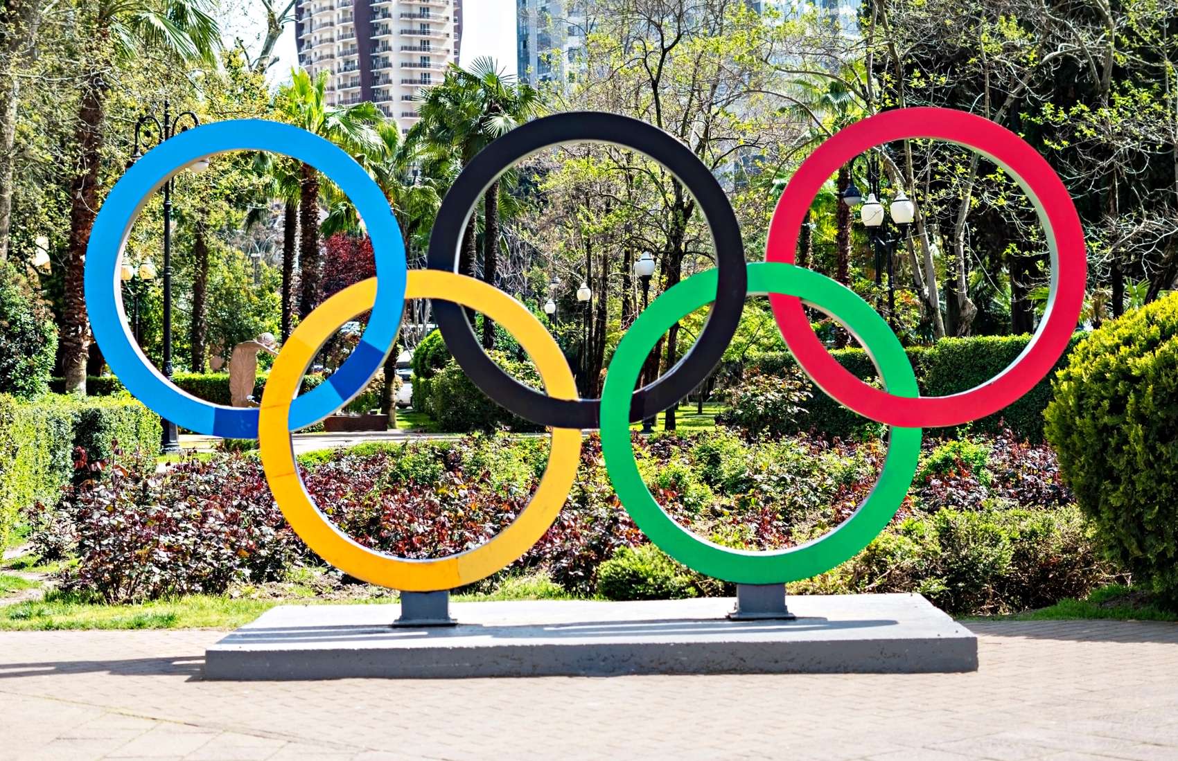 Cricket is set to get an even bigger profile lift in the US when Los Angeles hosts the next Olympics in 2028. Photo / 123rf