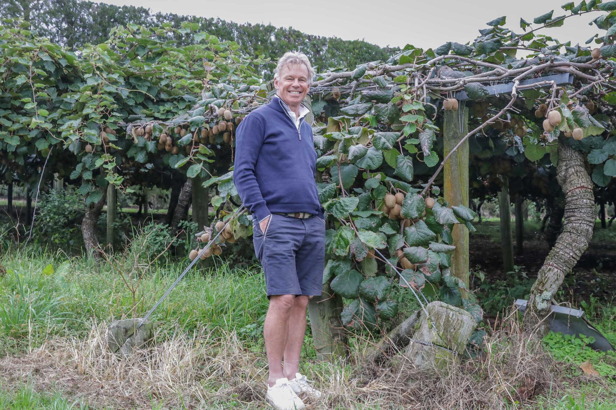Classic Group director Peter Cooney at the kiwifruit orchard which will be cleared to make way for a planned 75-lot subdivision. Photo / Kelly O'Hara
