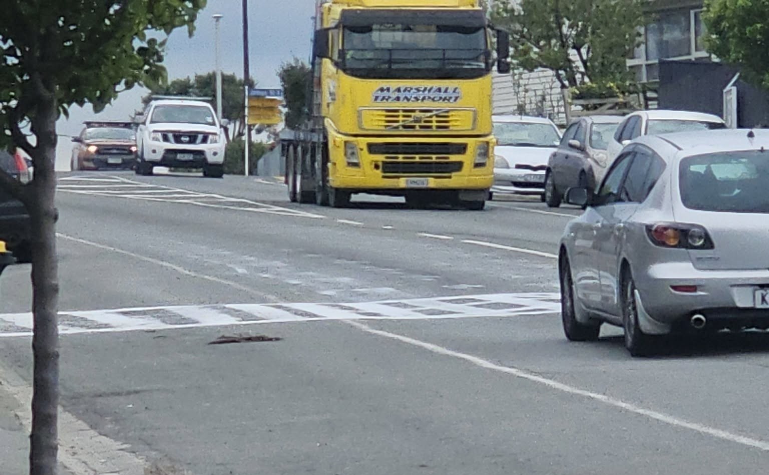 Joshua David Brooking painted a fake pedestrian crossing on a main road into Timaru.