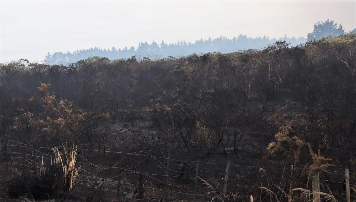 The fire reached State Highway 1 north of Waiharara in the Boxing Day breakout. Photo / Fenz