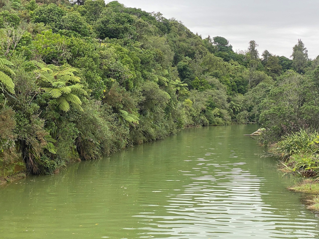 Te Mana o te Wai prioritises the health of waterways such as the Onaero River but economic matters are also considered. Photo / Te Korimako o Taranaki