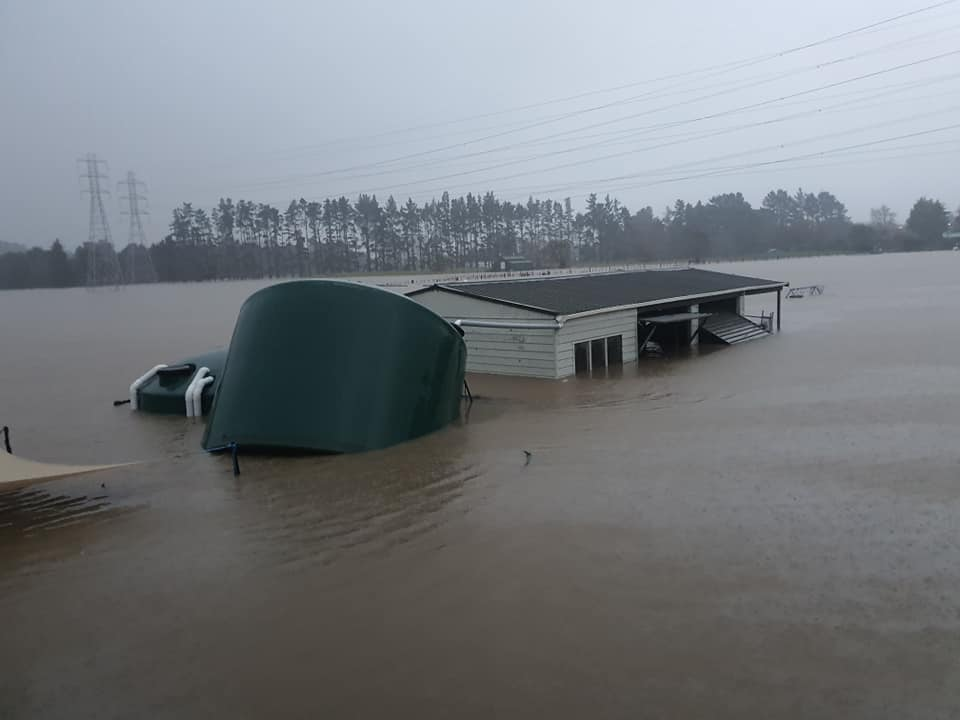 Cars and buildings are underwater in west Auckland. Photo / Facebook
