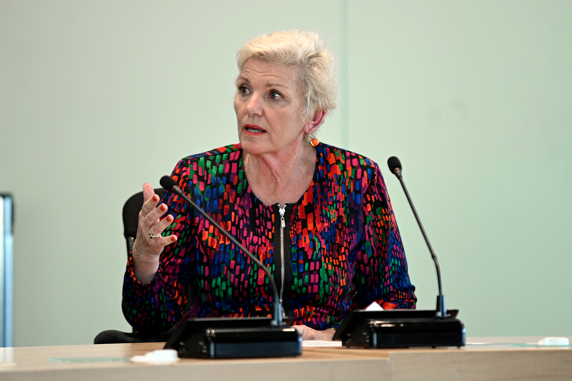 City commission chairwoman Anne Tolley. Photo / Andrew Warner