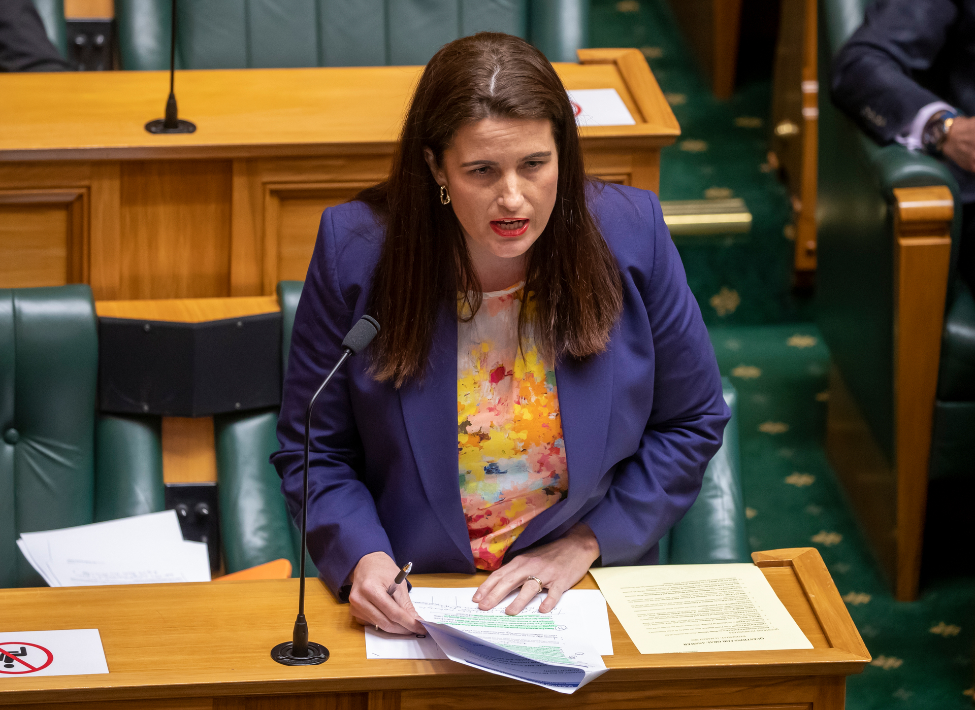 National's finance spokeswoman Nicola Willis has written to Finance Minister Grant Robertson to revive the Parliamentary Budget Office. Photo / Mark Mitchell