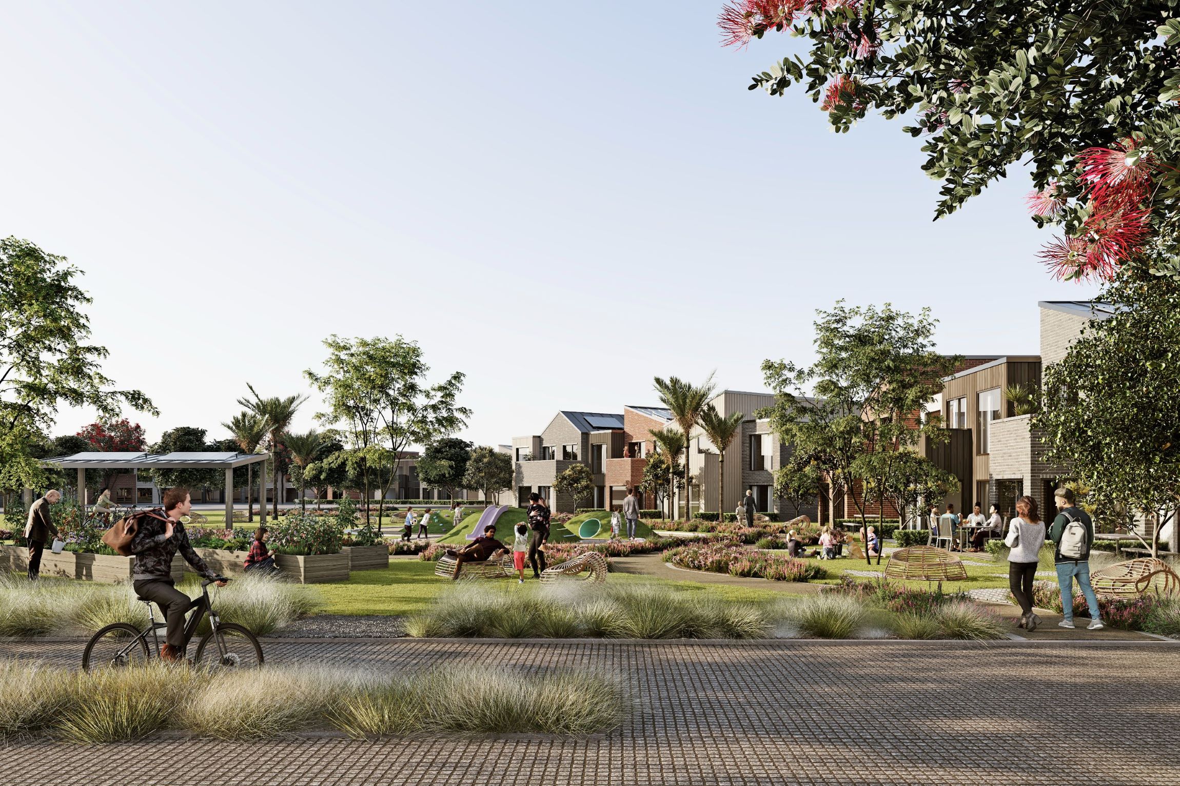 Winton plans a new Auckland community, Sunfield. Image/ Winton Land