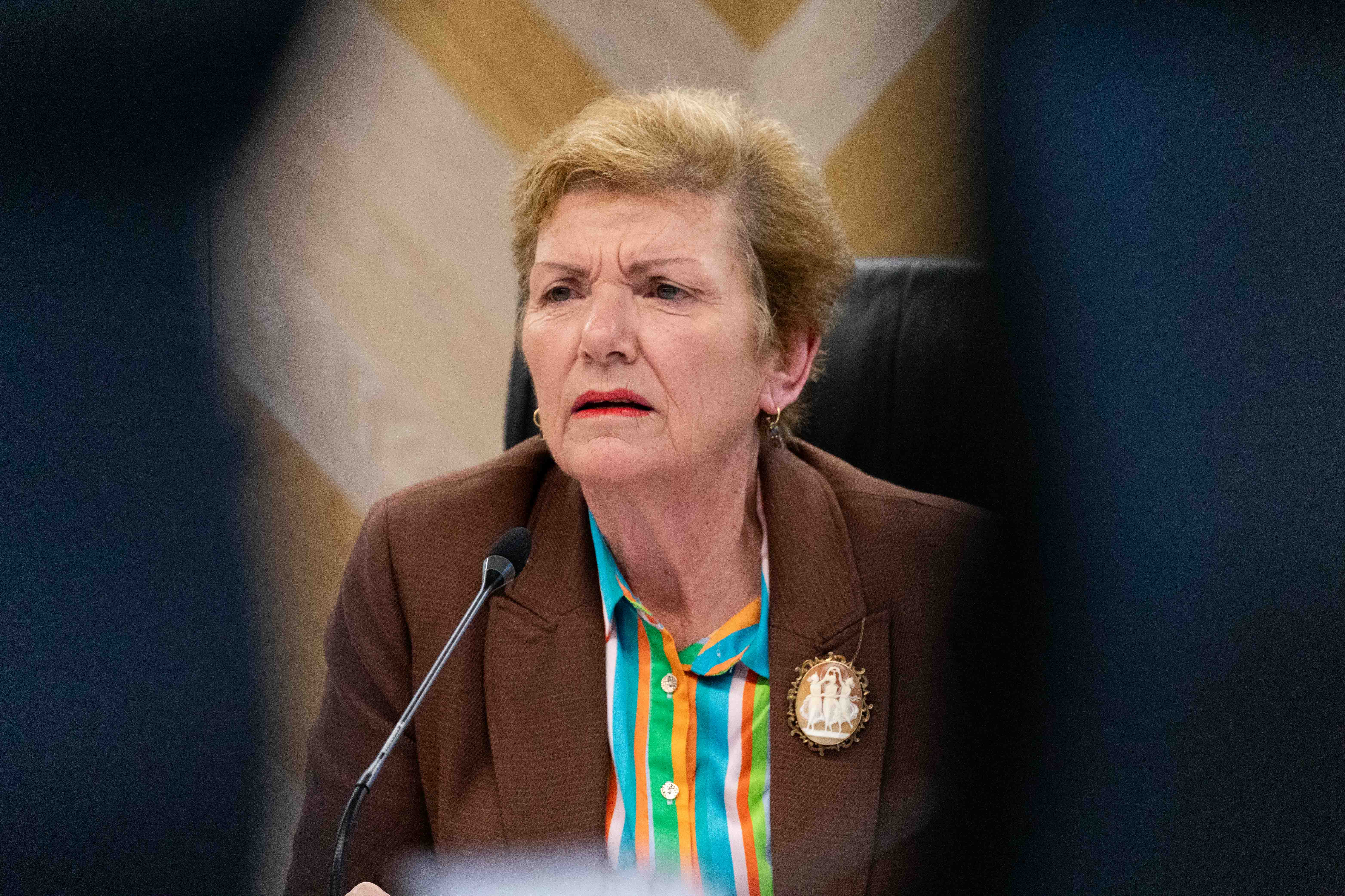 Commission chairwoman Anne Tolley, at a Tauranga City Council meeting. Photo / Alex Cairns
