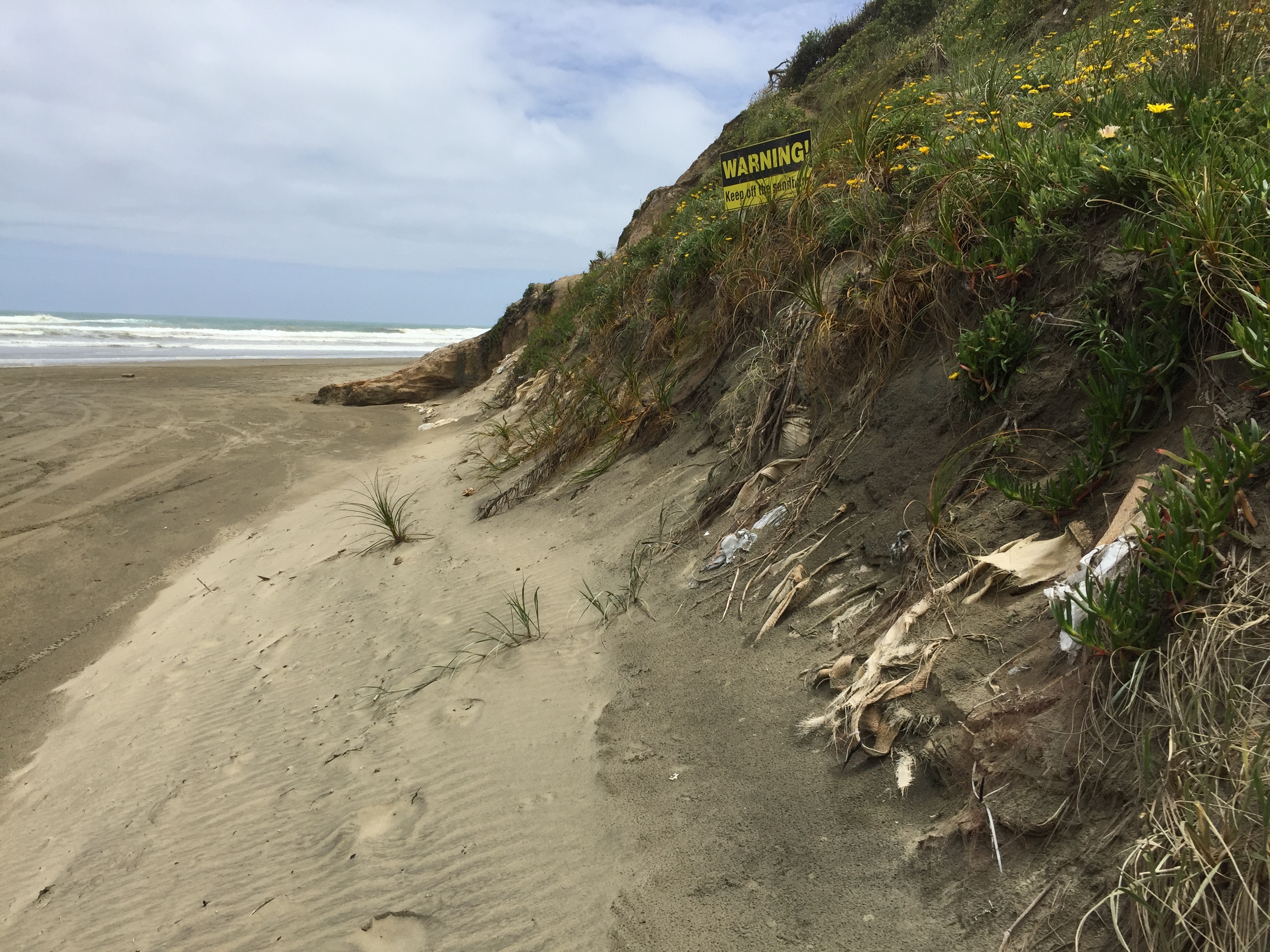 A recent image of the sandbags, taken in November of last year. Photo / Supplied