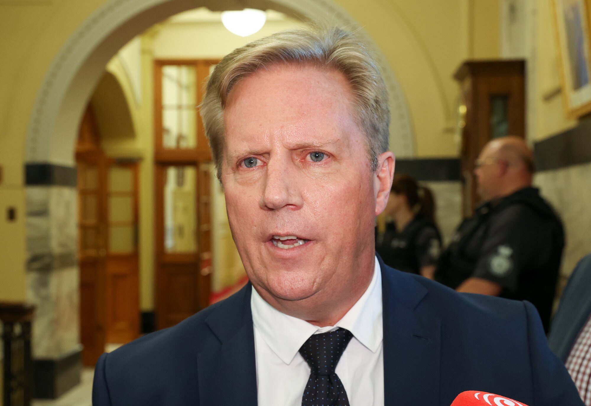 Trade Minister Todd McClay also disputed Winston Peters' claim. Photo / Mark Mitchell