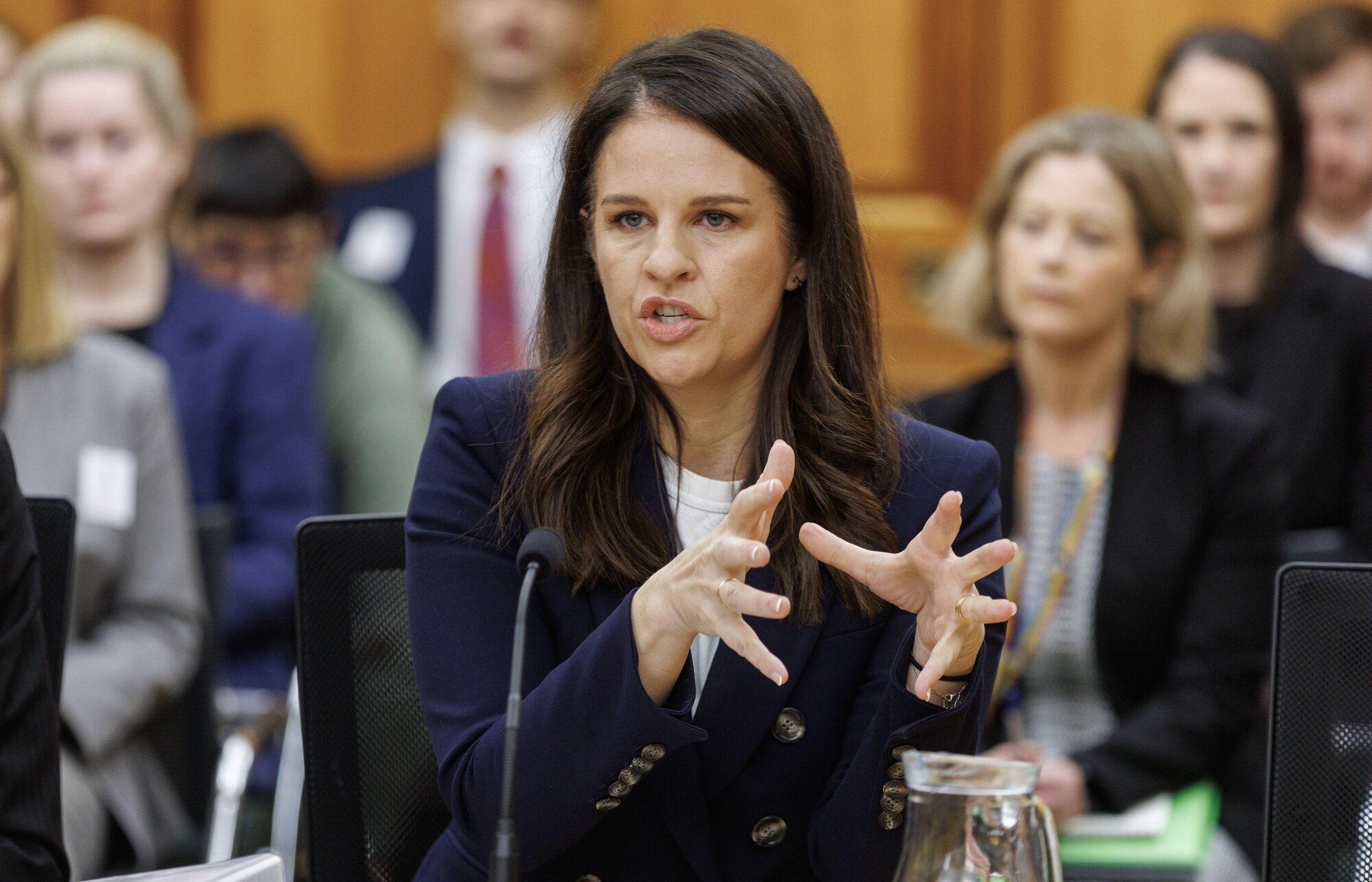 Immigration Minister Erica Stanford released the report today at a Parliament select committee. Photo / Mark Mitchell