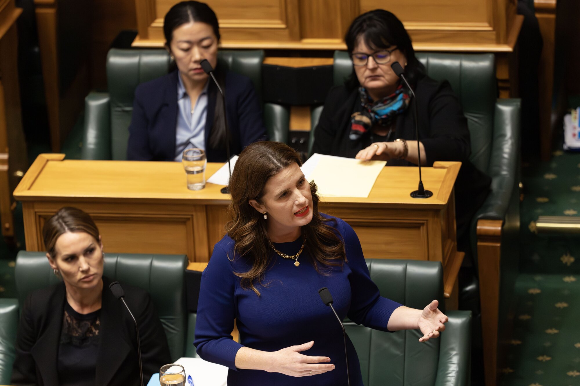 In a speech to Parliament on Wednesday, Finance Minister Nicola Willis laid out her case for a more workable pay equity regime. Her audience, writes Thomas Coughlan, was not the public but her party's own backbenchers. Photo / Marty Melville.