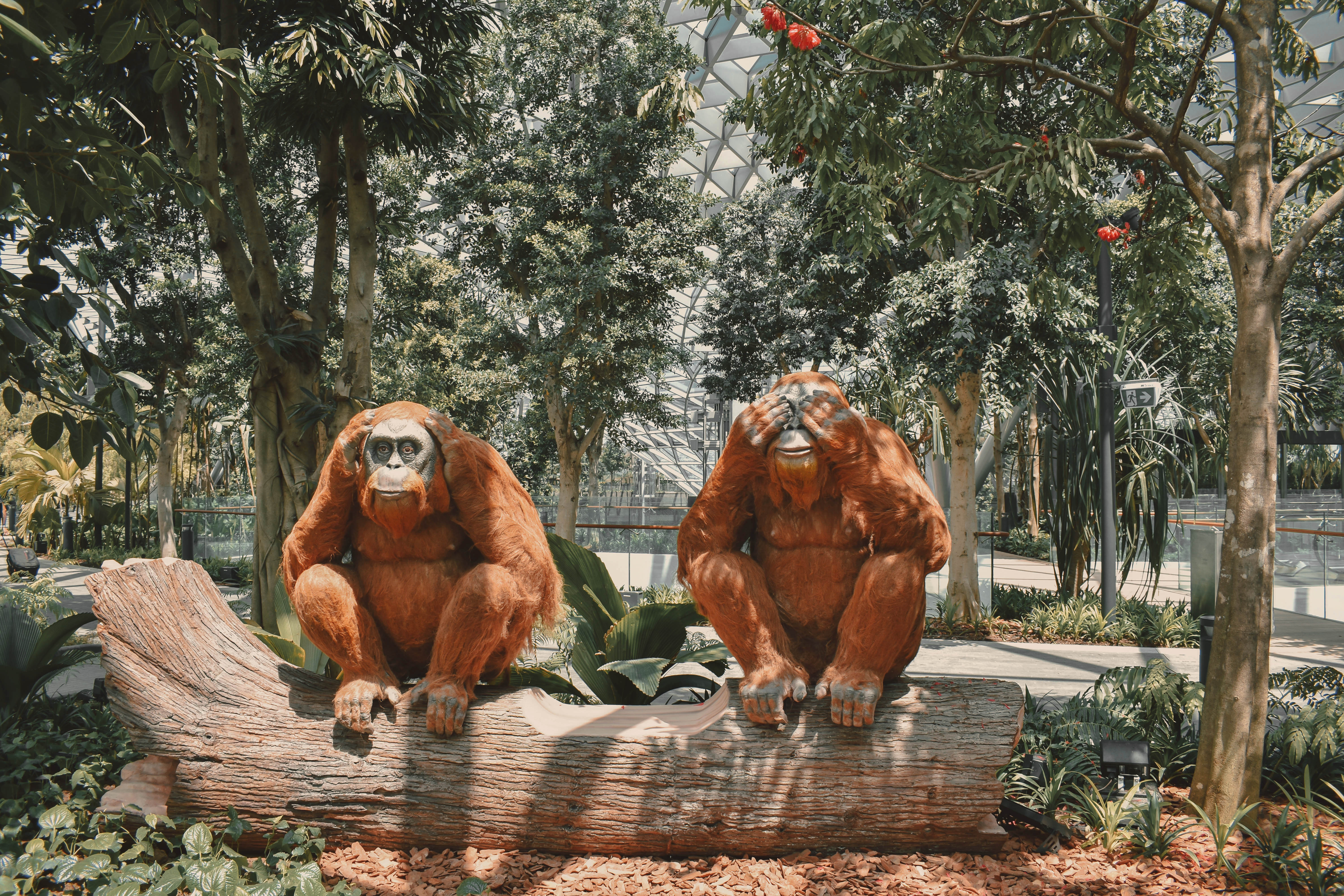 The Jewel at Changi International Airport features the Shiseido Forest Valley, a lush green retreat filled with more than 900 trees and palms, 60,000 shrubs, and a series of 30-minute walking trails.