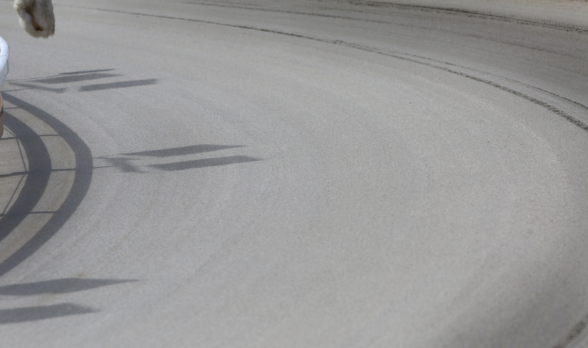 The greyhound racing industry in Whanganui was largely unaware the sand on the track needed to be turned over or replaced at least every decade. Photo / NZME