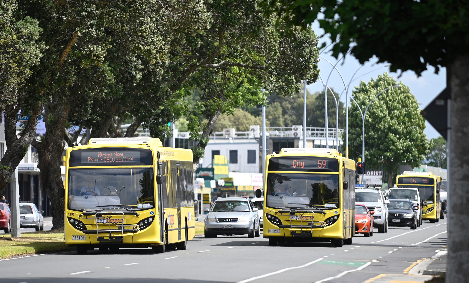 Buses are just one way for people to get around Tauranga. Photo / File