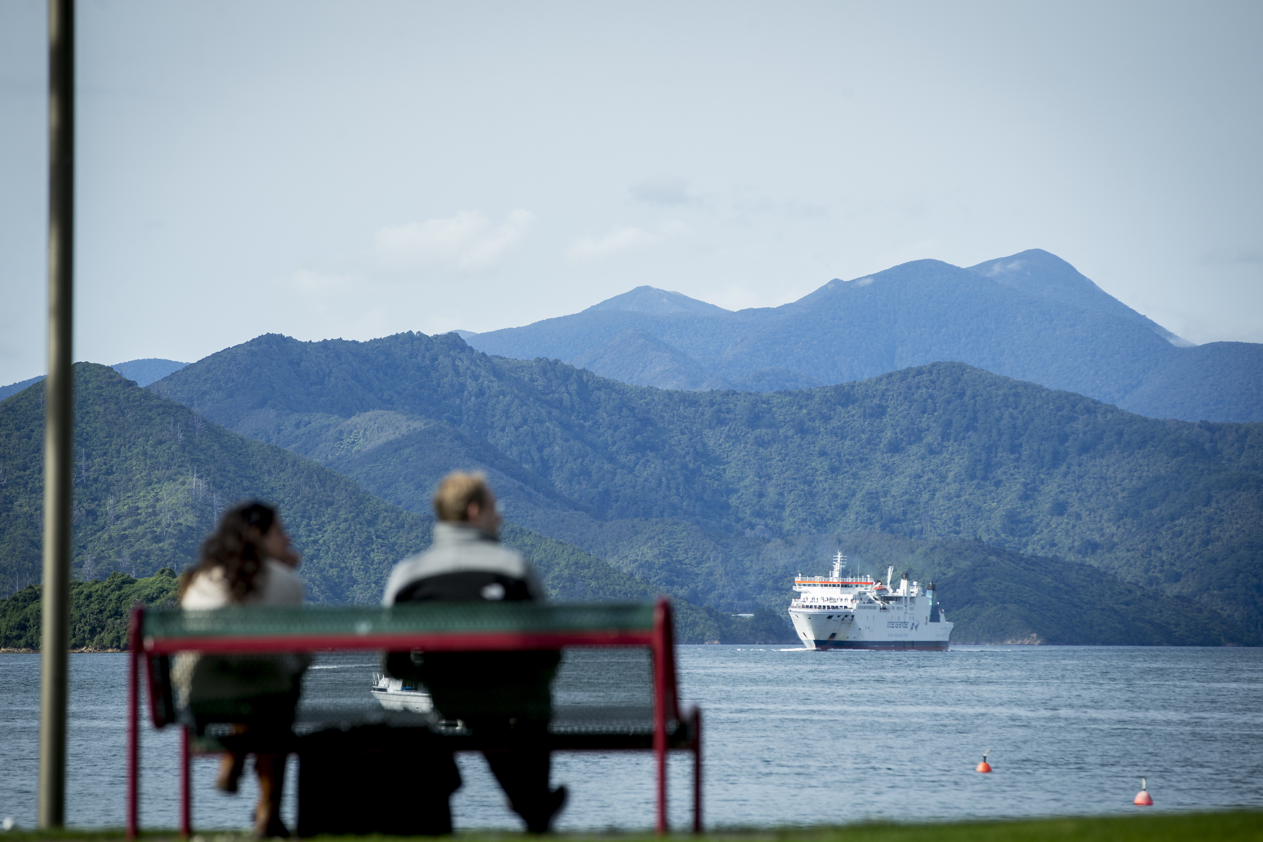 Limits have been set for the maximum size of new vessels using Tory Channel to access ports at Picton and Shakespeare Bay. Photo / Mike Scott