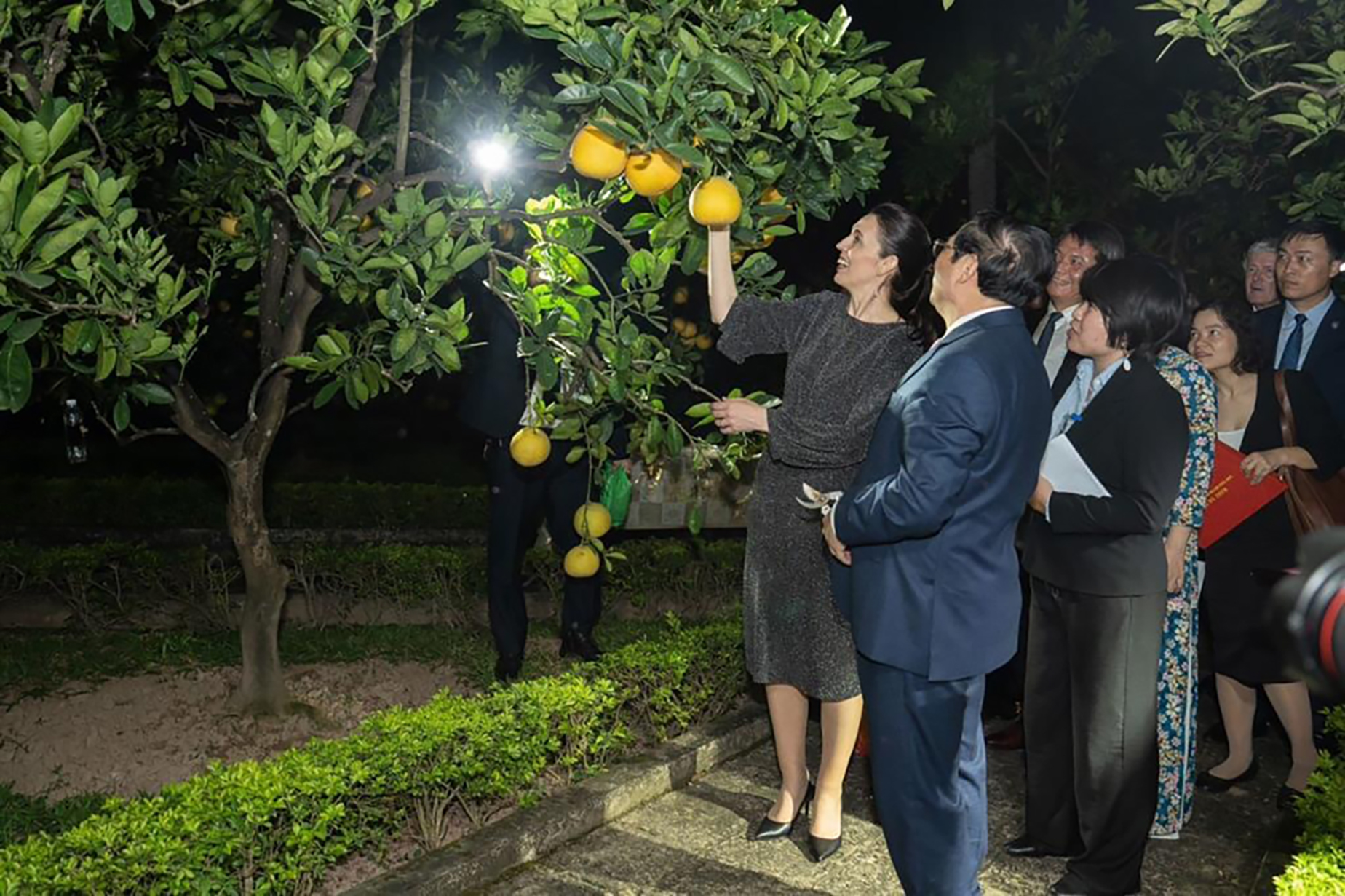 Prime Minister Jacinda Ardern picks a pomelo with Vietnamese Prime Minister Pham Minh Chinh - her Labour party would likely govern on a new poll. Photo / Supplied