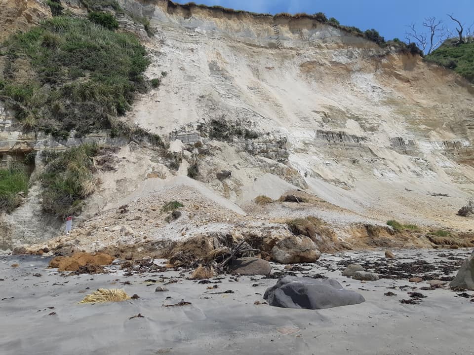 The landslide at Maketū that brought human remains onto the beach from an urupā atop the cliff. Photo / Tony Pecotic