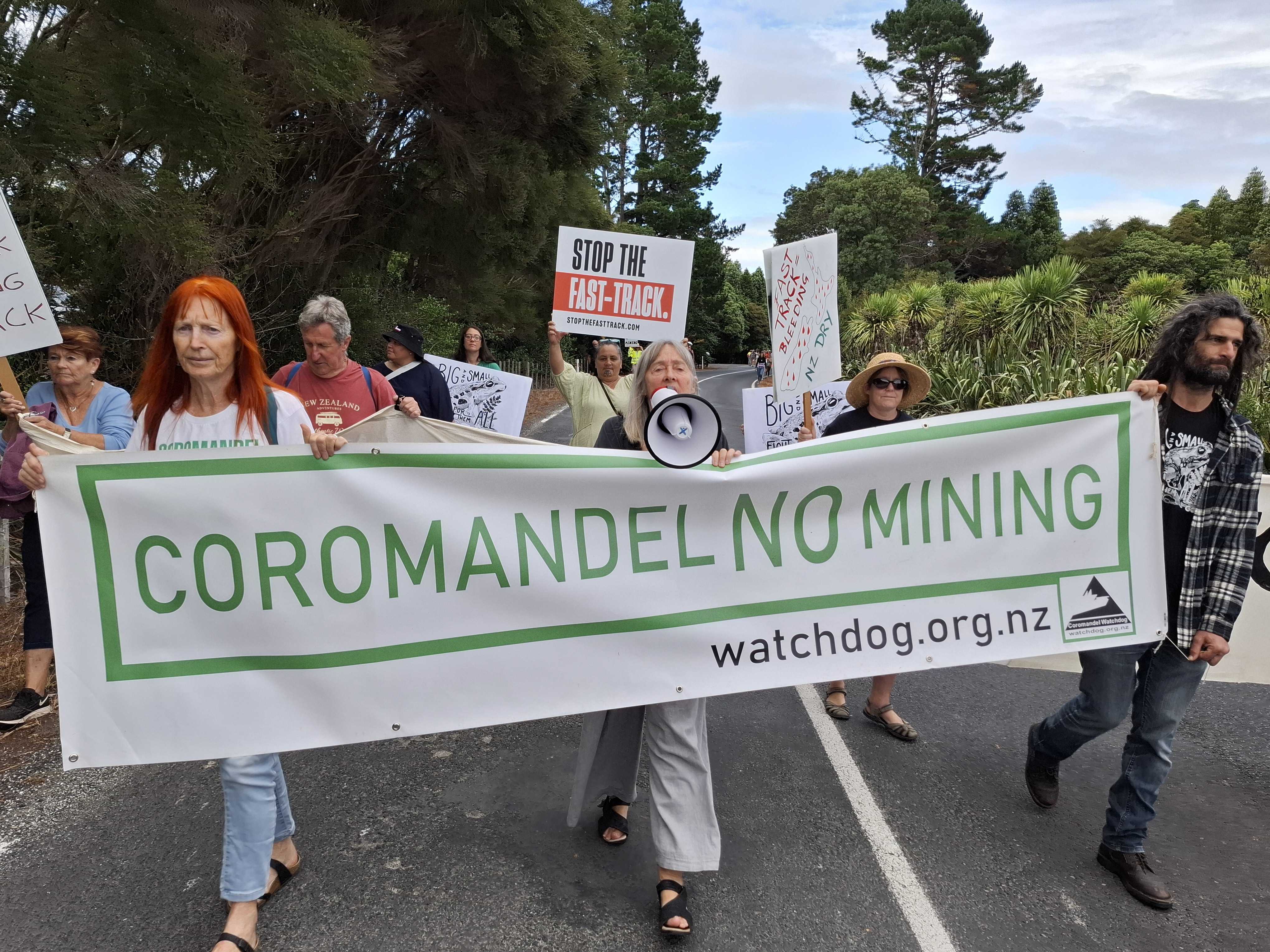 Anti-mining protestors in Waihi this morning ahead of Shane Jones' announcement on the Government's mining strategy. Photo / Tom Eley