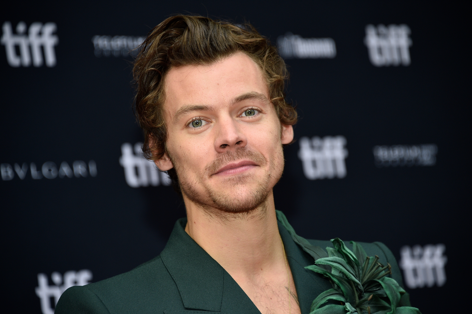 Harry Styles is required by law to take part in the NZ Census in March, if he is on NZ soil. Photo / AP