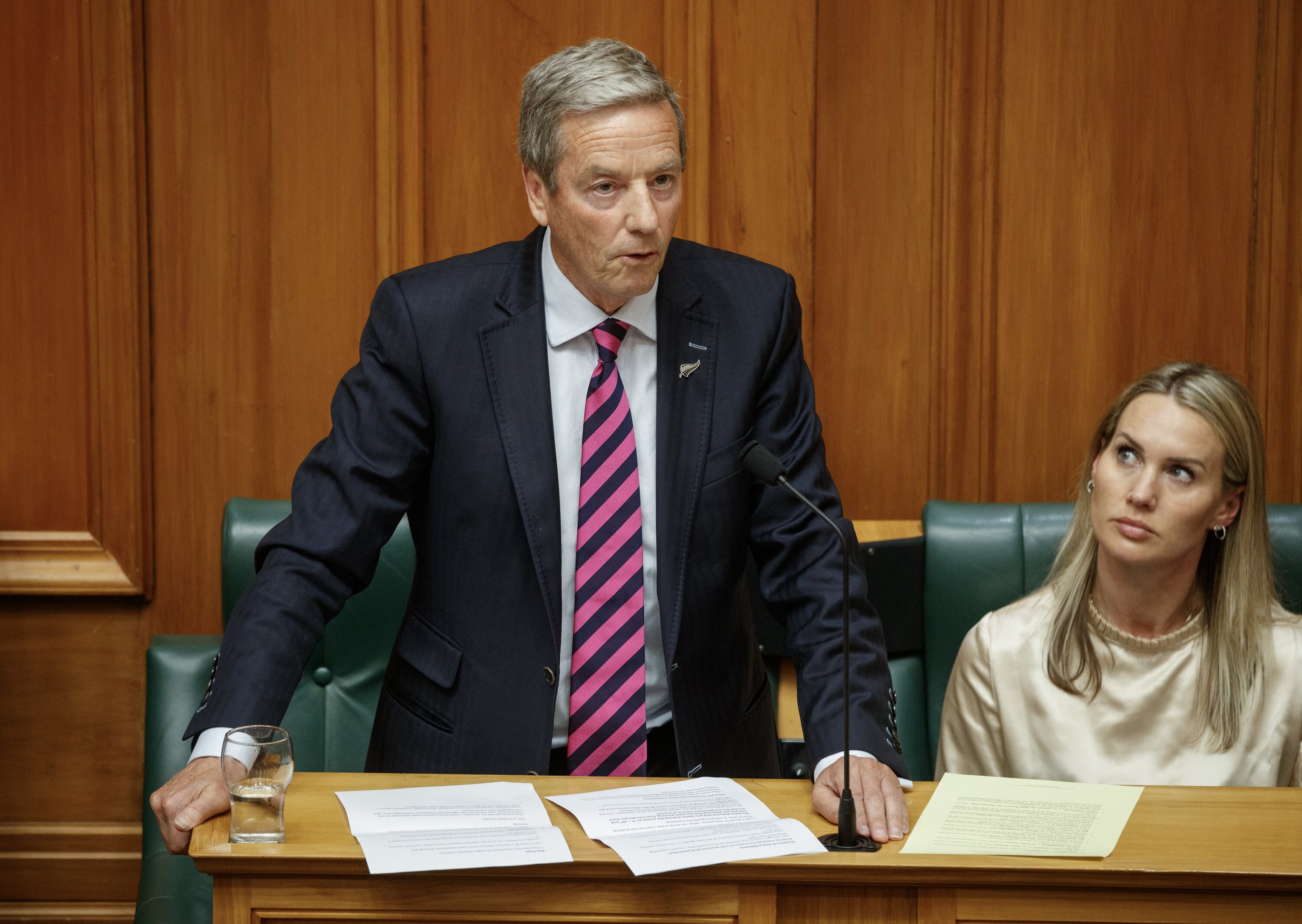 Small Business Minister Andrew Bayly was grilled during Question Time in Parliament last month over his behaviour. Photo / Mark Mitchell

