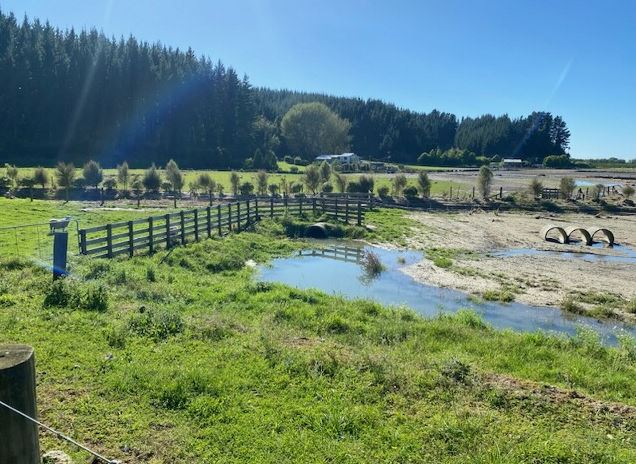 Damage caused by the floodwaters on Barry Hoy's farm is shown in this photo taken about a week after the cyclone. The silt gives an indication of how high the water rose. 