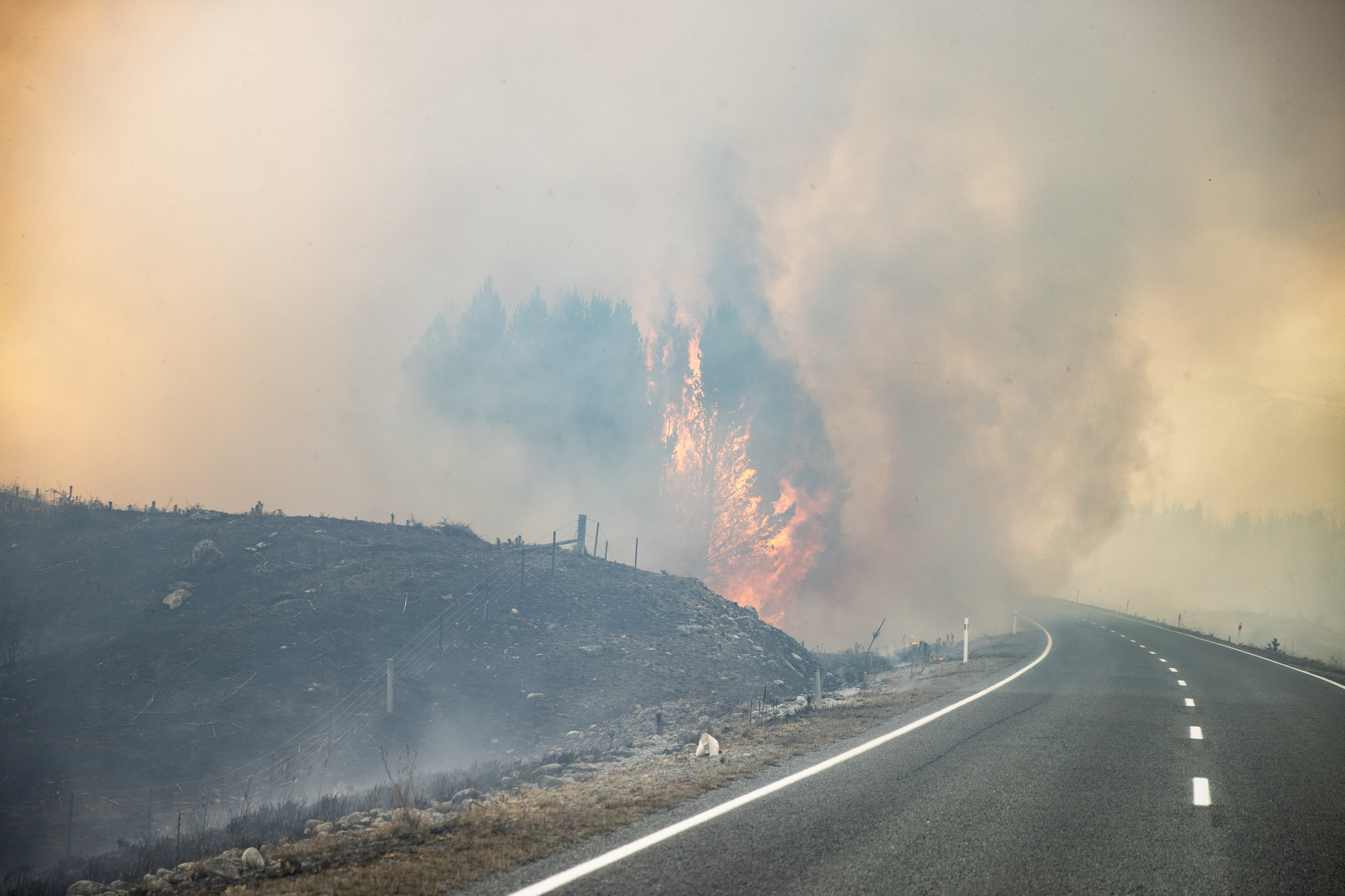 A fire burns along the South Island's Highway 80 last week. Firefighters are expecting a busy season on the East Coast. Photo / George Heard