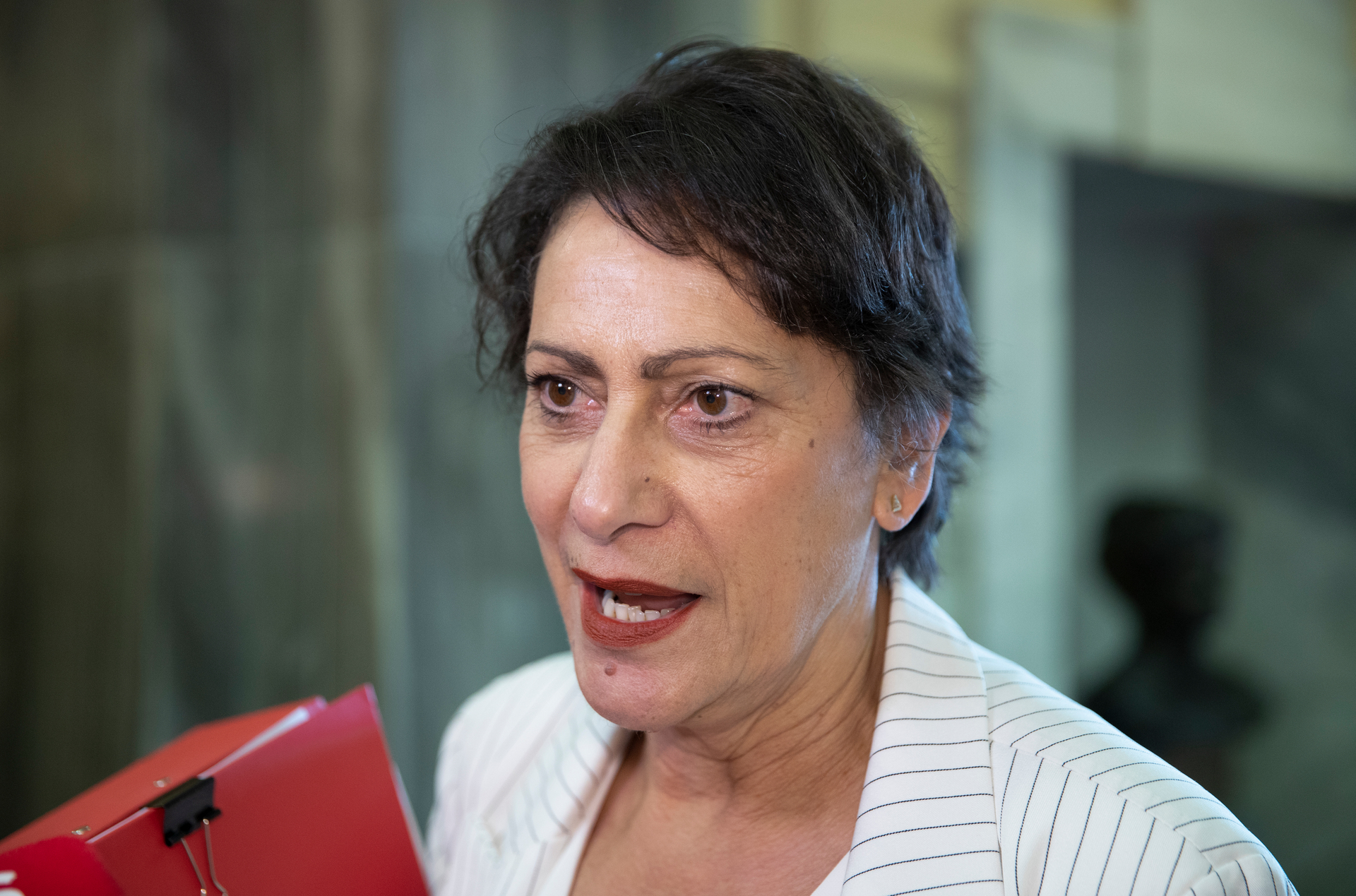 Associate Minister Public Housing Poto Williams has asked for a briefing on the Whangārei case. Photo / Mark Mitchell