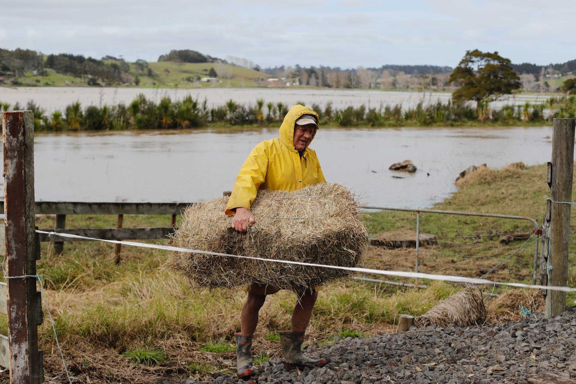Farmer Thomas Grace feeding livestock near Woodhill. Photo / Dean Purcell 