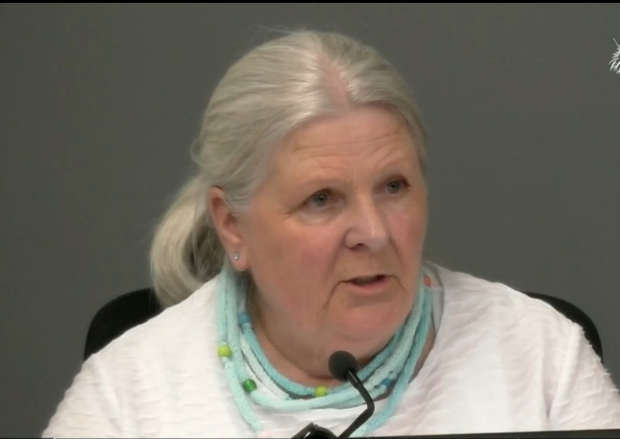 Ann-Marie Shelley speaking at the Royal Commission of Inquiry into Abuse in State Care this week. Photo / Livestream 