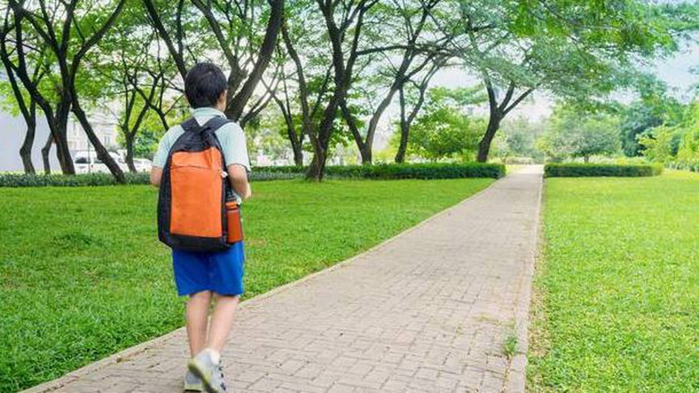 The Human Rights Review Tribunal will finally hear a claim that disabled children are discriminated against in the NZ education system. Photo / File