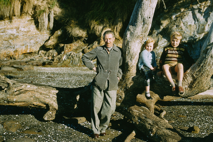 As a young girl Julia Hartley-Moore sits in a tree (centre) with her father Walker Hartley-Moore and brother John Hartley-Moore. Photo / Supplied