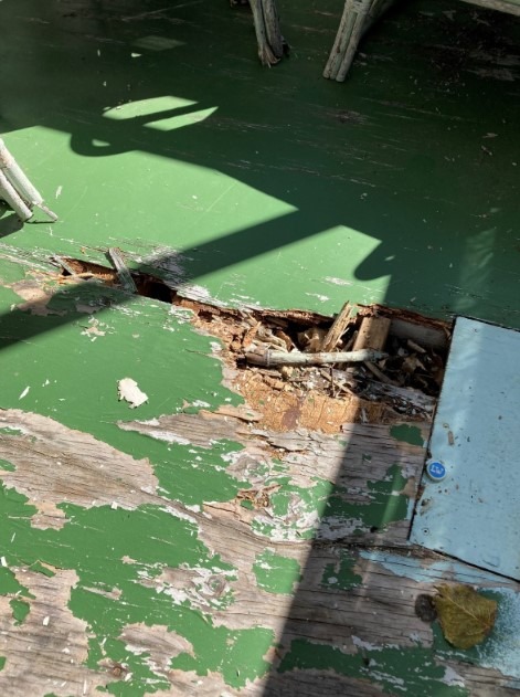 Rotorua landlords Stephen Bhana and Jasu Mati Bhana have been ordered to pay $6195 in exemplary damages and complete extensive repairs to a property in Rotorua. Pictured is rotting flooring on the deck.