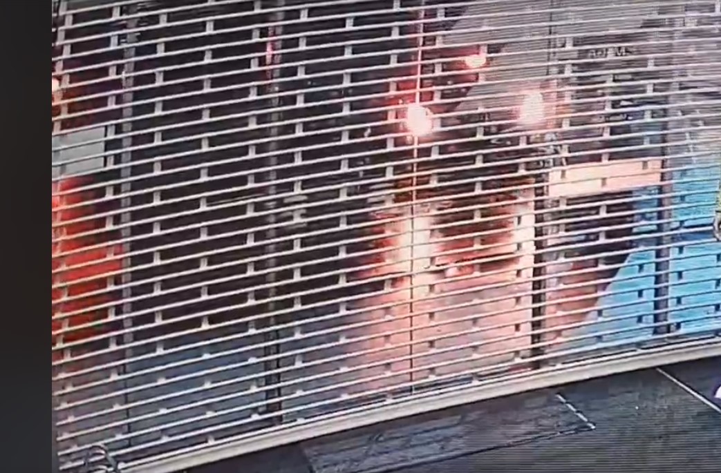 A vehicle caught on CCTV video ram raiding into Gun City in Christchurch. Photo / Supplied