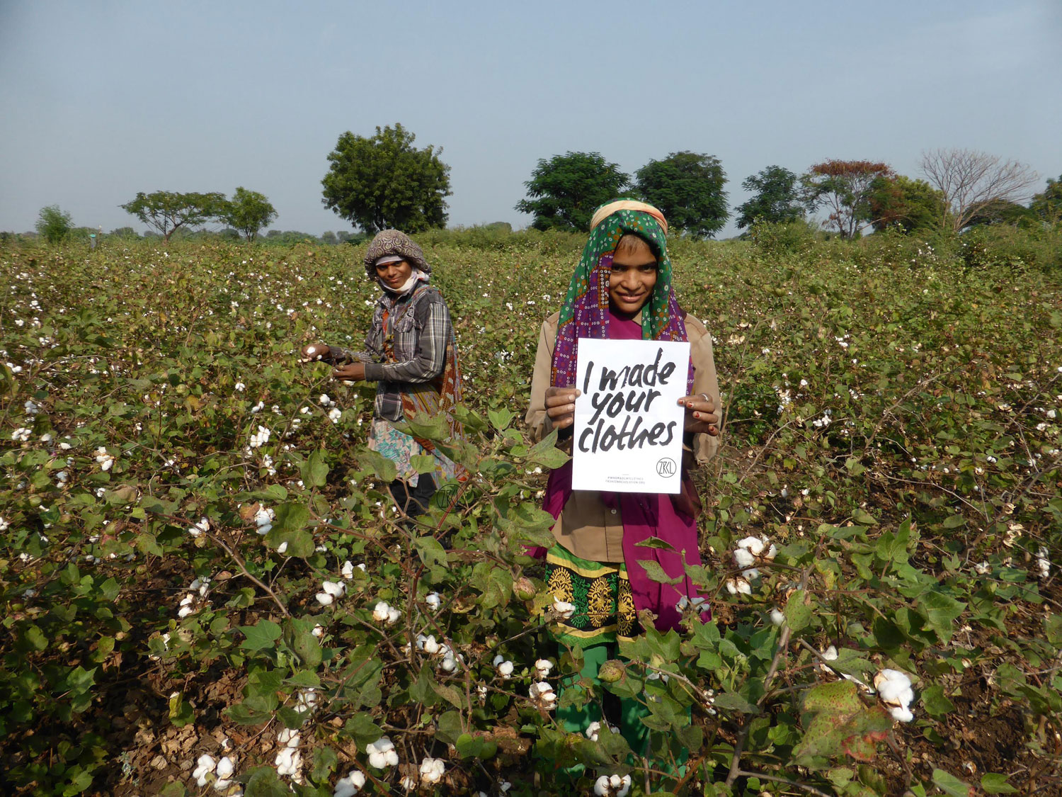 Cotton farmers in India. Use your voice to ensure workers in the supply chain are paid and supported during this crisis. Photo / Fashion Revolution Week