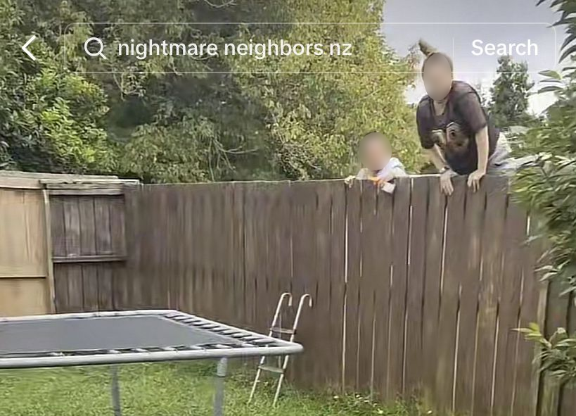 The video of one encounter went viral in TikTok. Photo / Katelyn Park