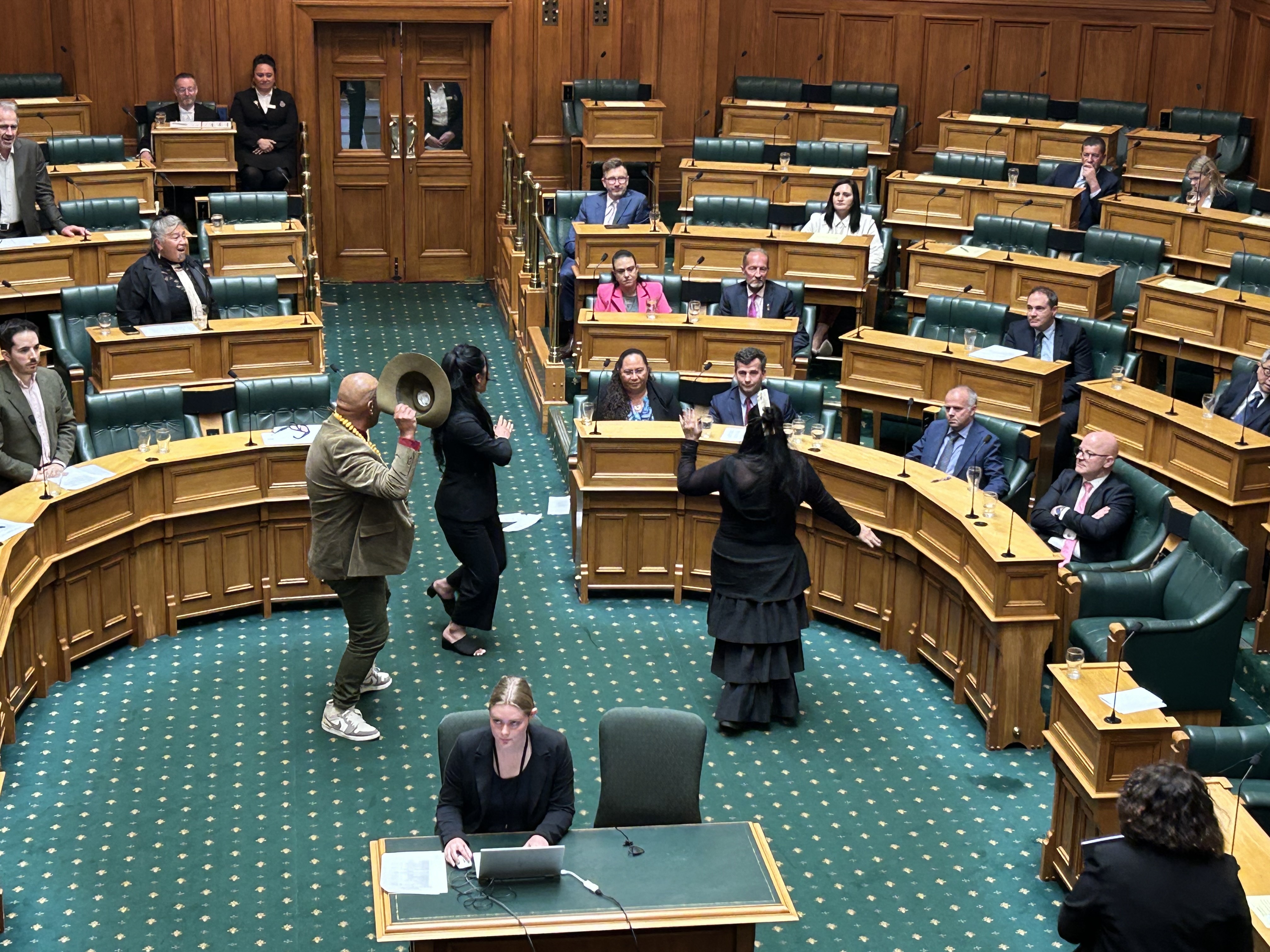 Speaker Gerry Brownlee suspended the House and ordered the public gallery to be cleared after a haka was started by Te Pāti Māori MPs on November 14, Photo / Mark Mitchell
