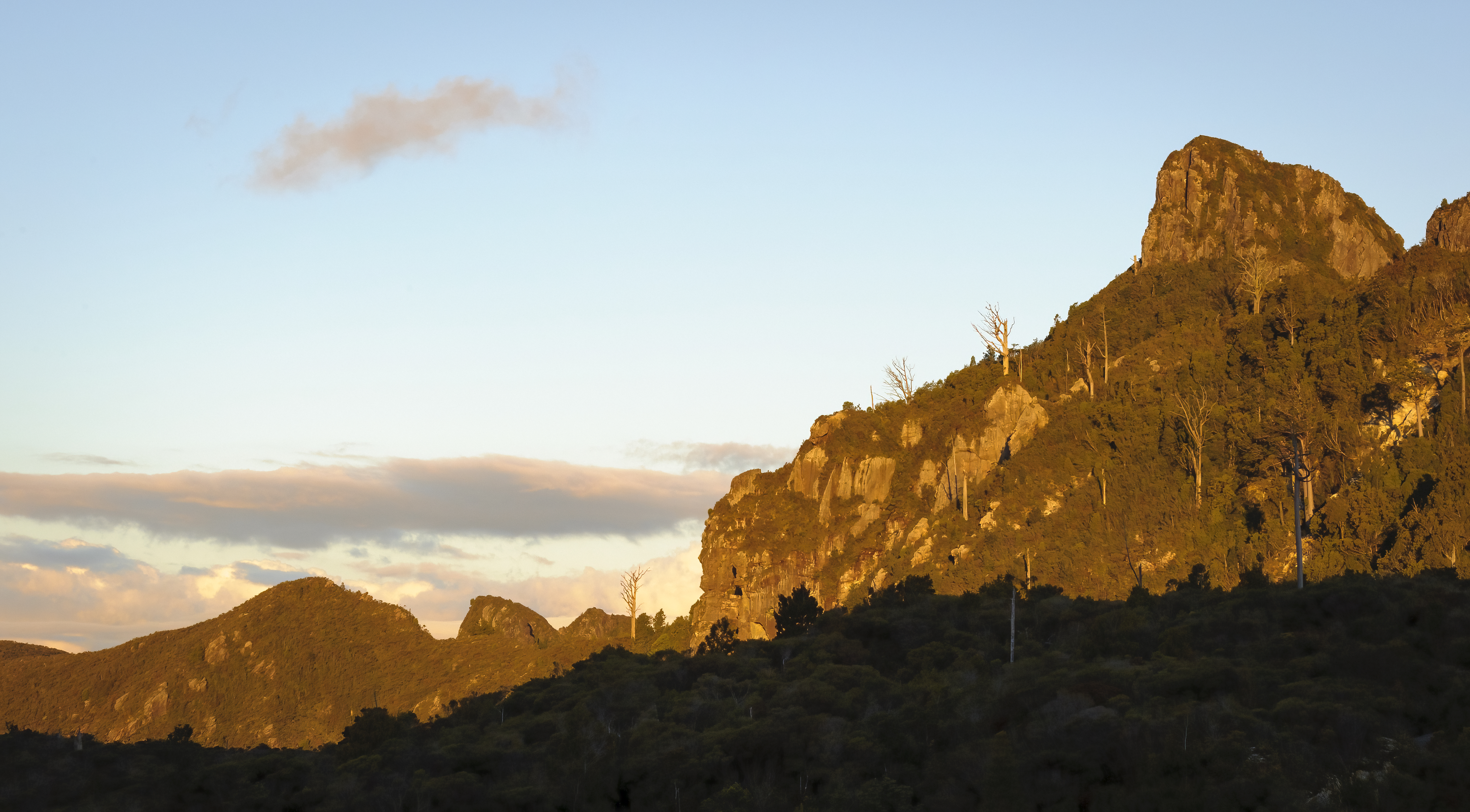 The Pinnacles, Kauaeranga Kauri Trail, Coromandel FP, Coromandel. Photo / Shaun Barnett
