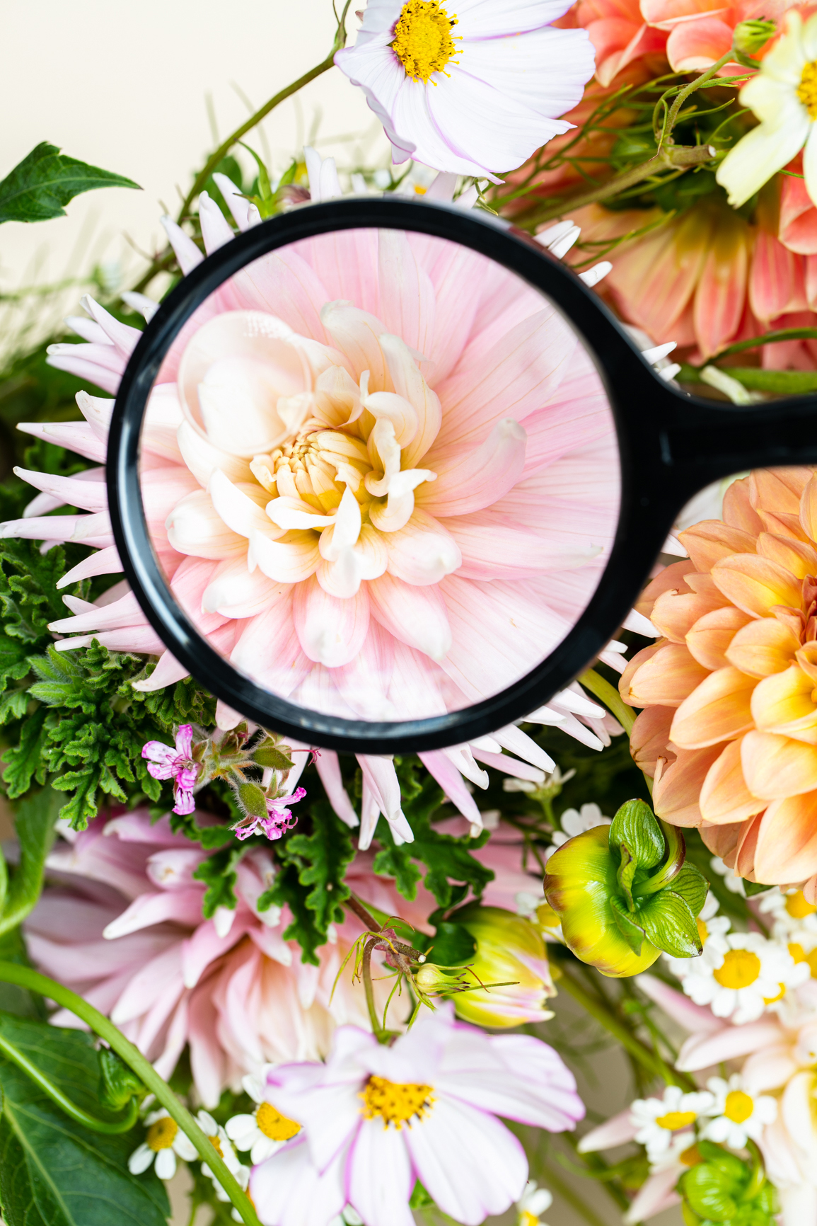 These small changes can help make your beauty routine more sustainable. Photo / Babiche Martens
