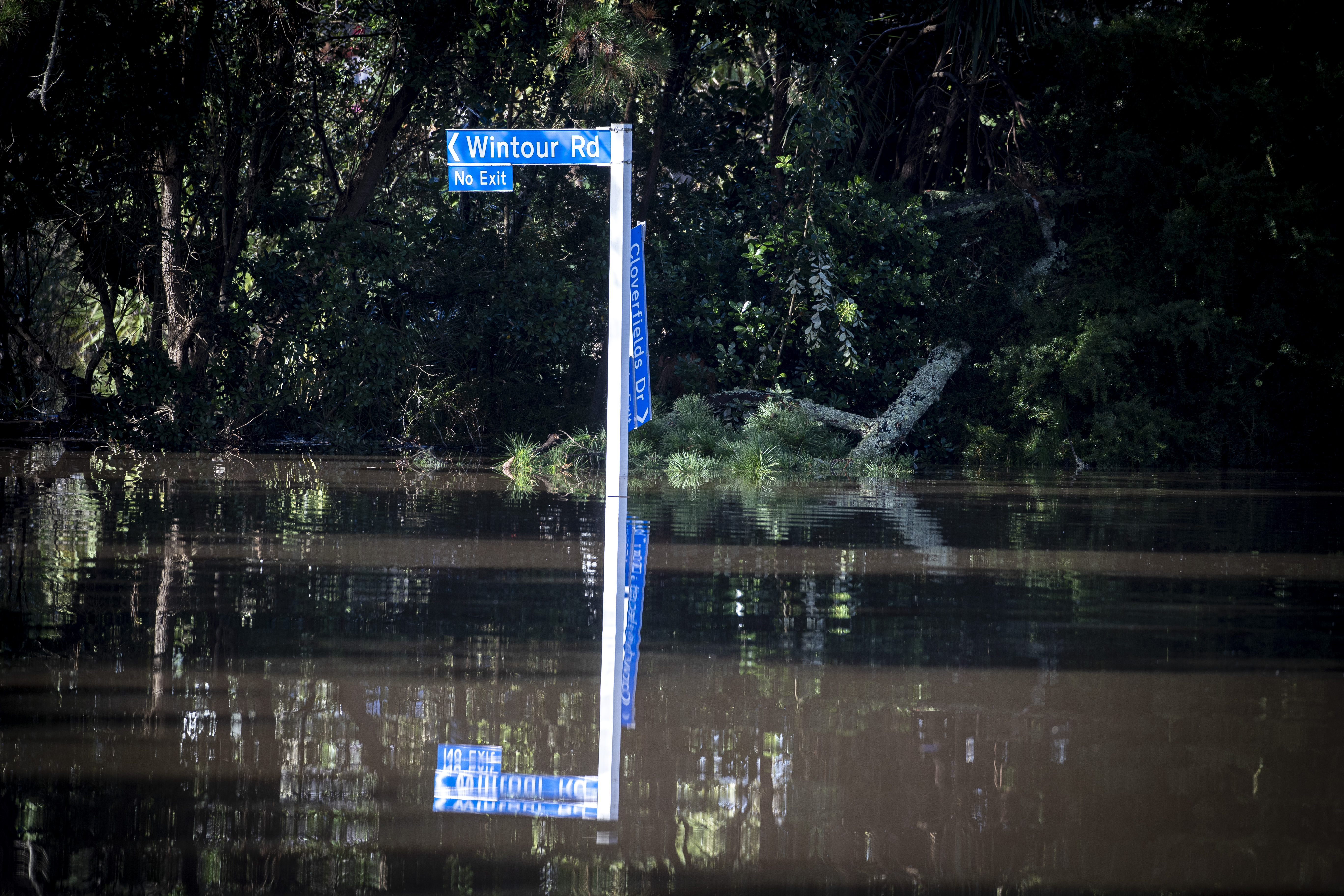 A flooded Waiamuku, Auckland, on February 16. Photo / Michael Craig





