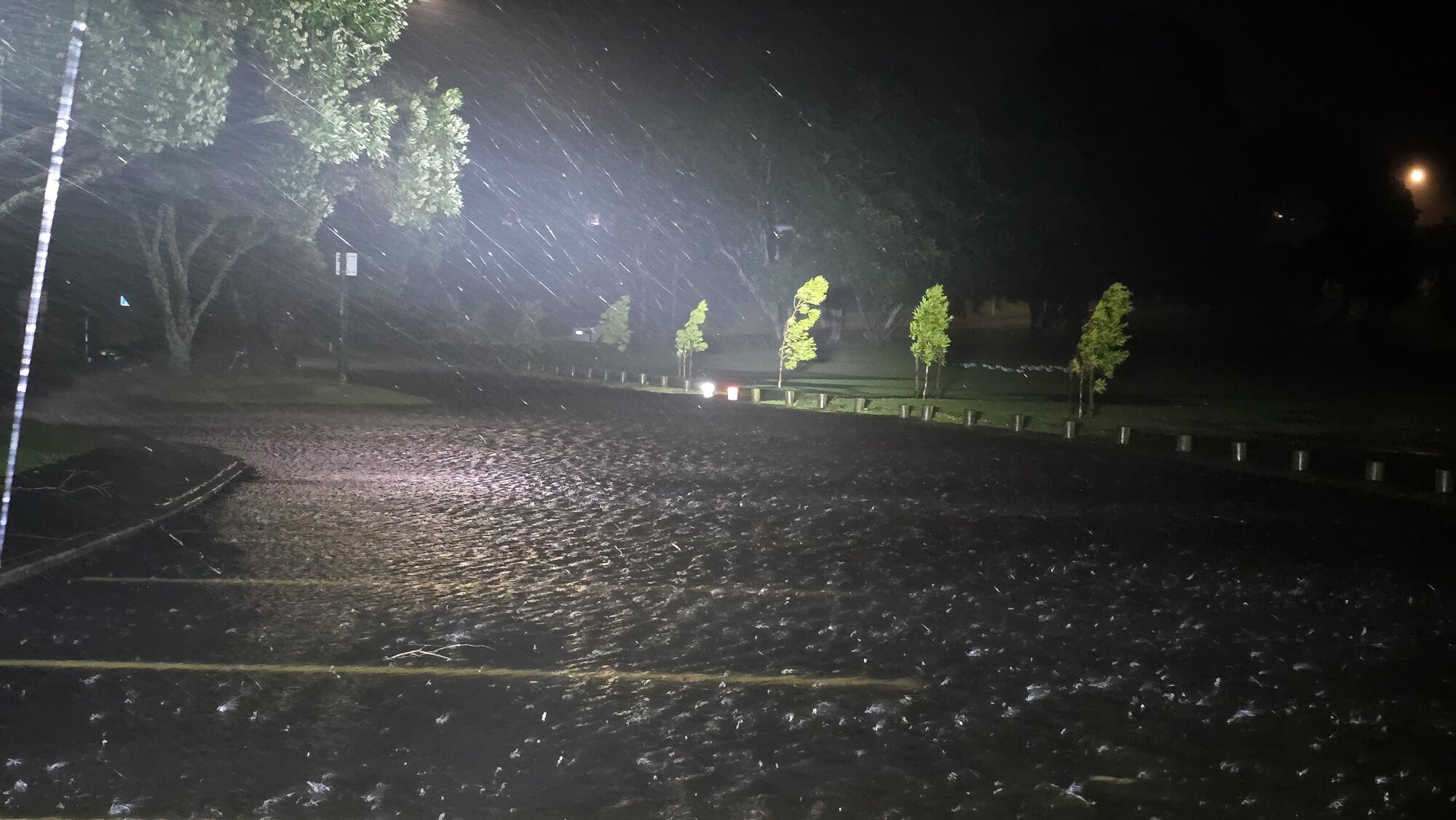 Heavy rain battering Memorial Park in Tauranga. Photo / Cameron Avery