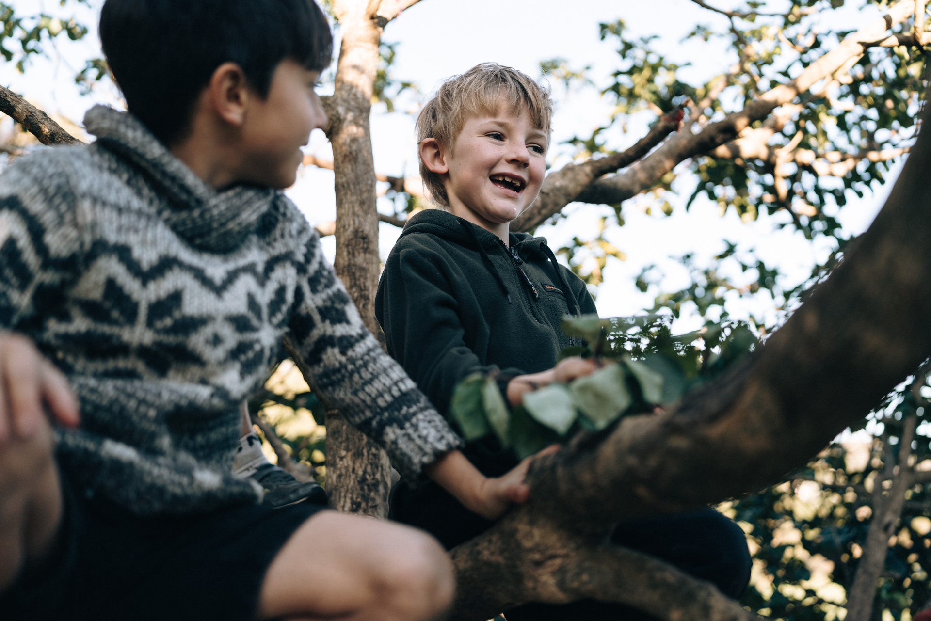 Getting out of the classroom into nature will help children transition back to school, experts say. Photo / Supplied
