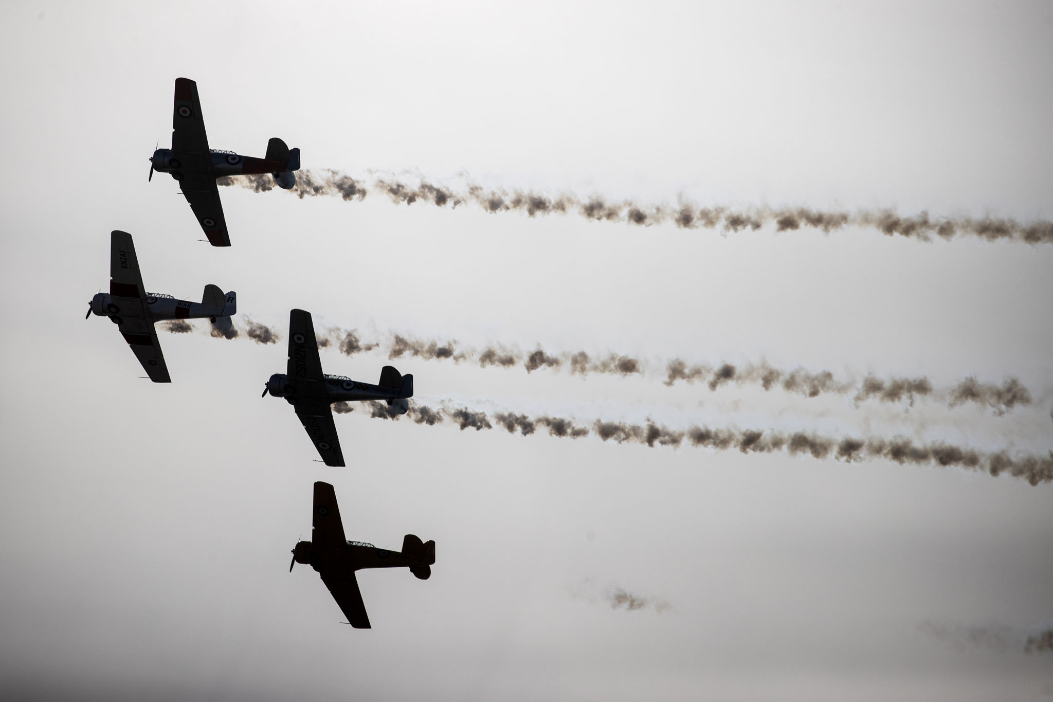 Warbirds Over Wānaka. Photo / George Heard
