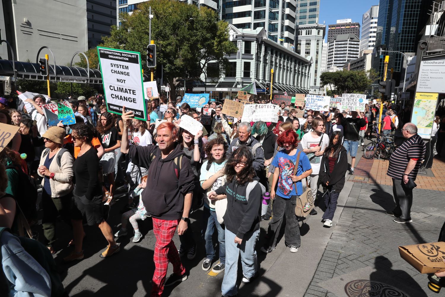 Hundreds of students calling for climate action by the Government march to Parliament today. Photo / Mark Mitchell